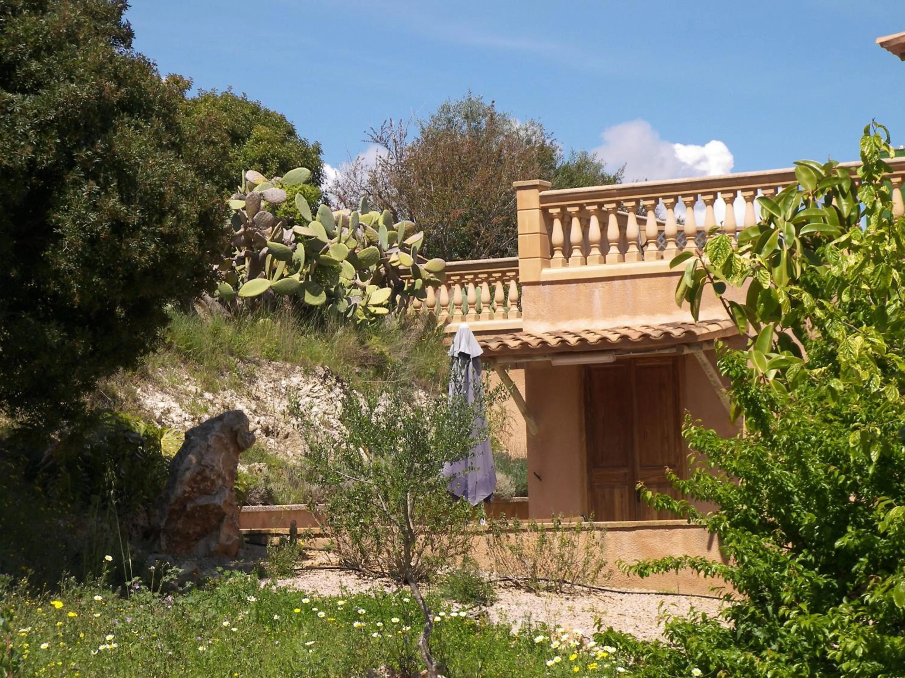 Garden in Agroturisme Es Picot