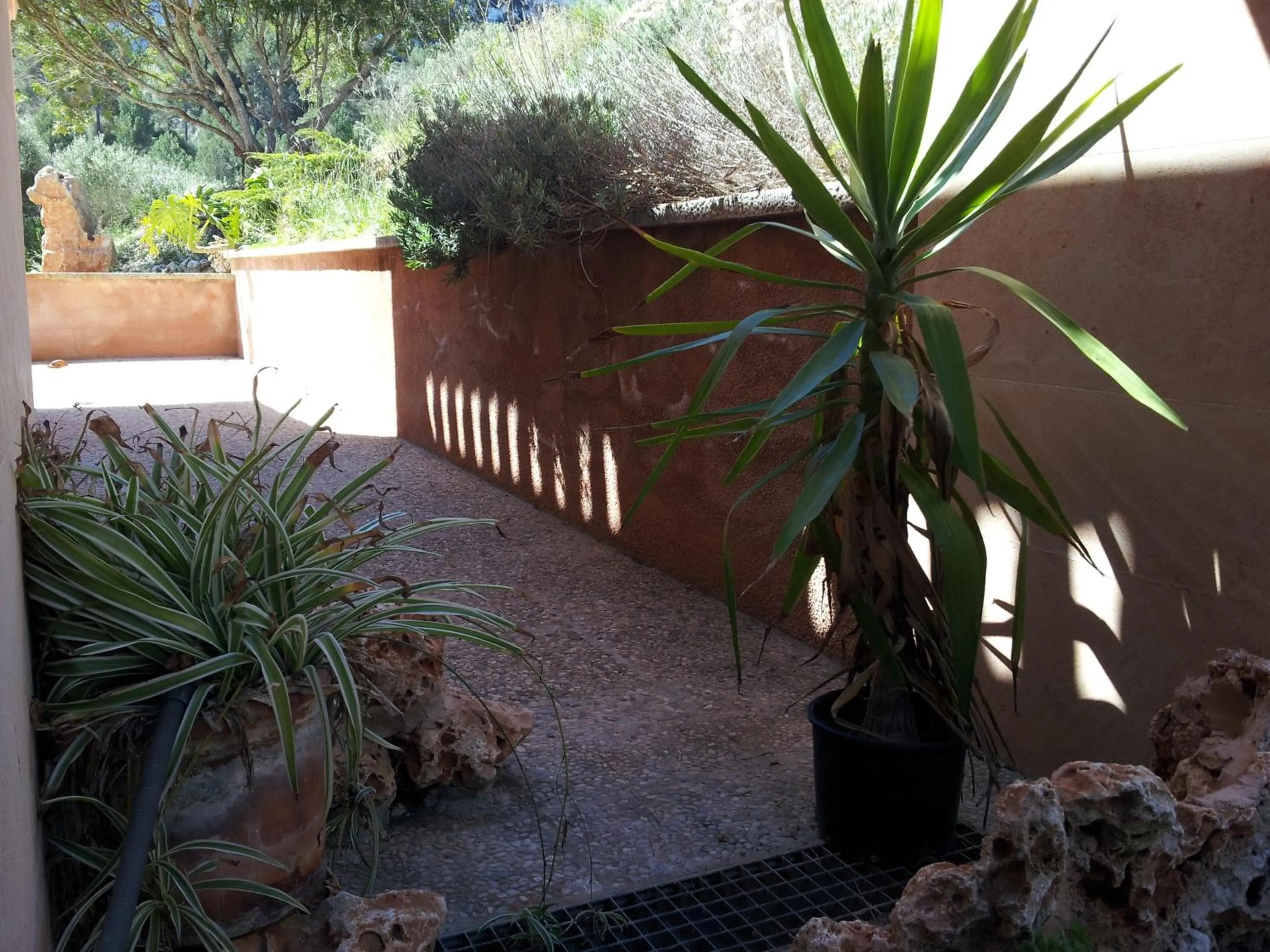 Patio in Agroturisme Es Picot