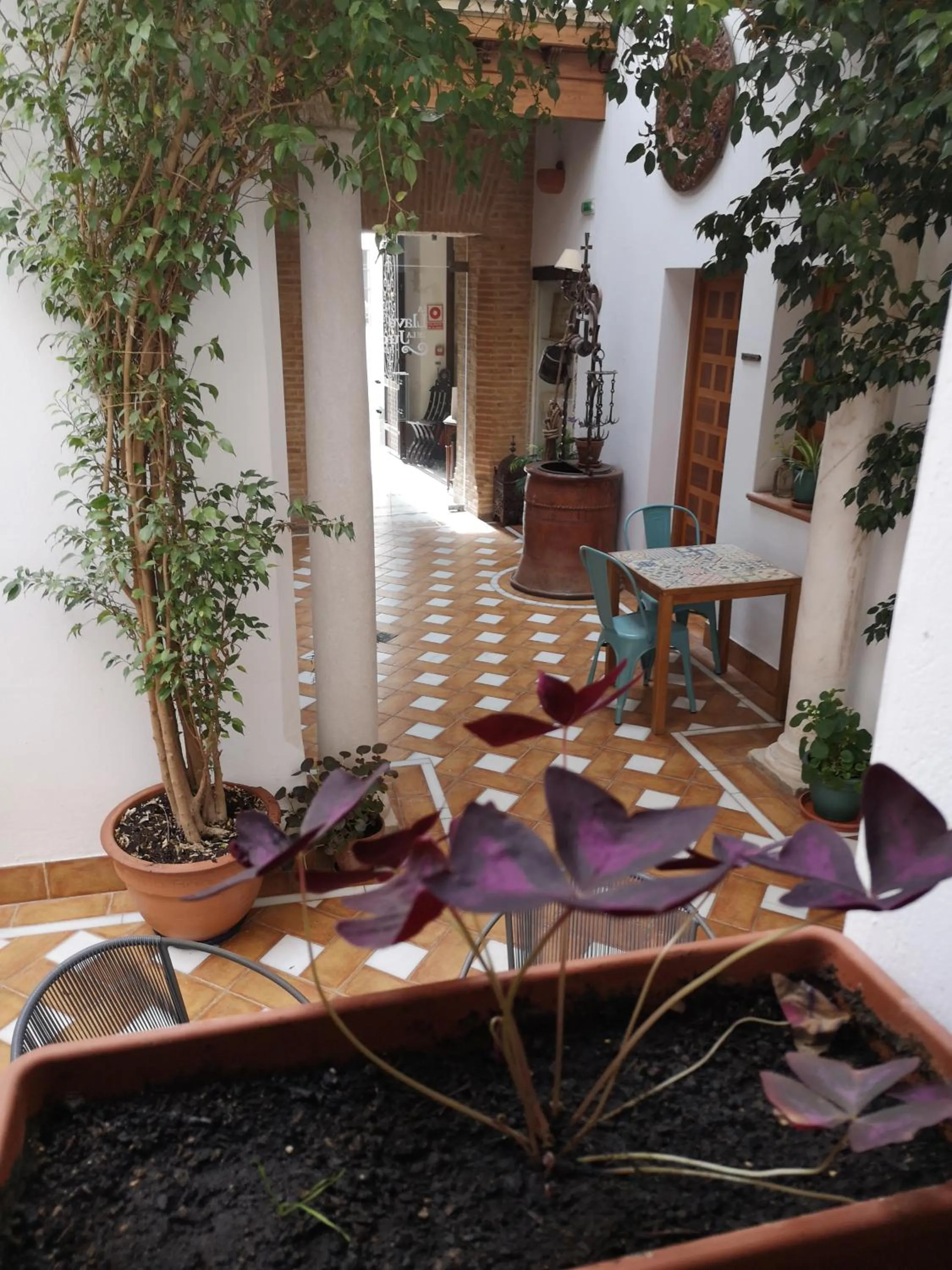 Patio in La Llave de la Judería Hotel Boutique