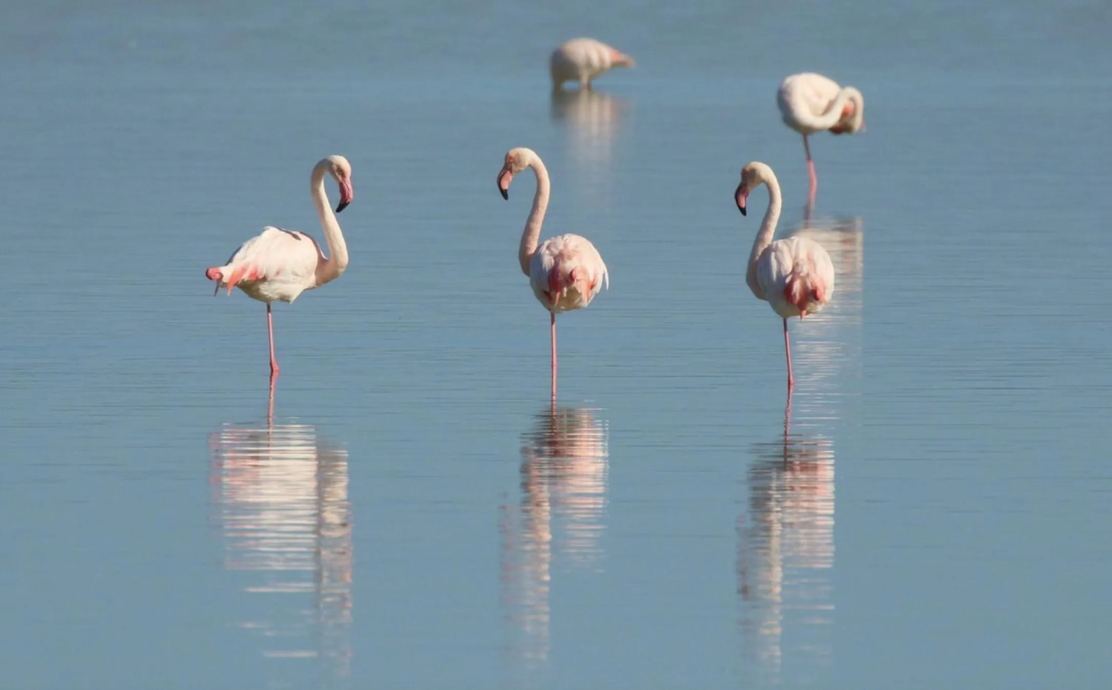 Nearby landmark in Dos Mares Barefoot Luxury