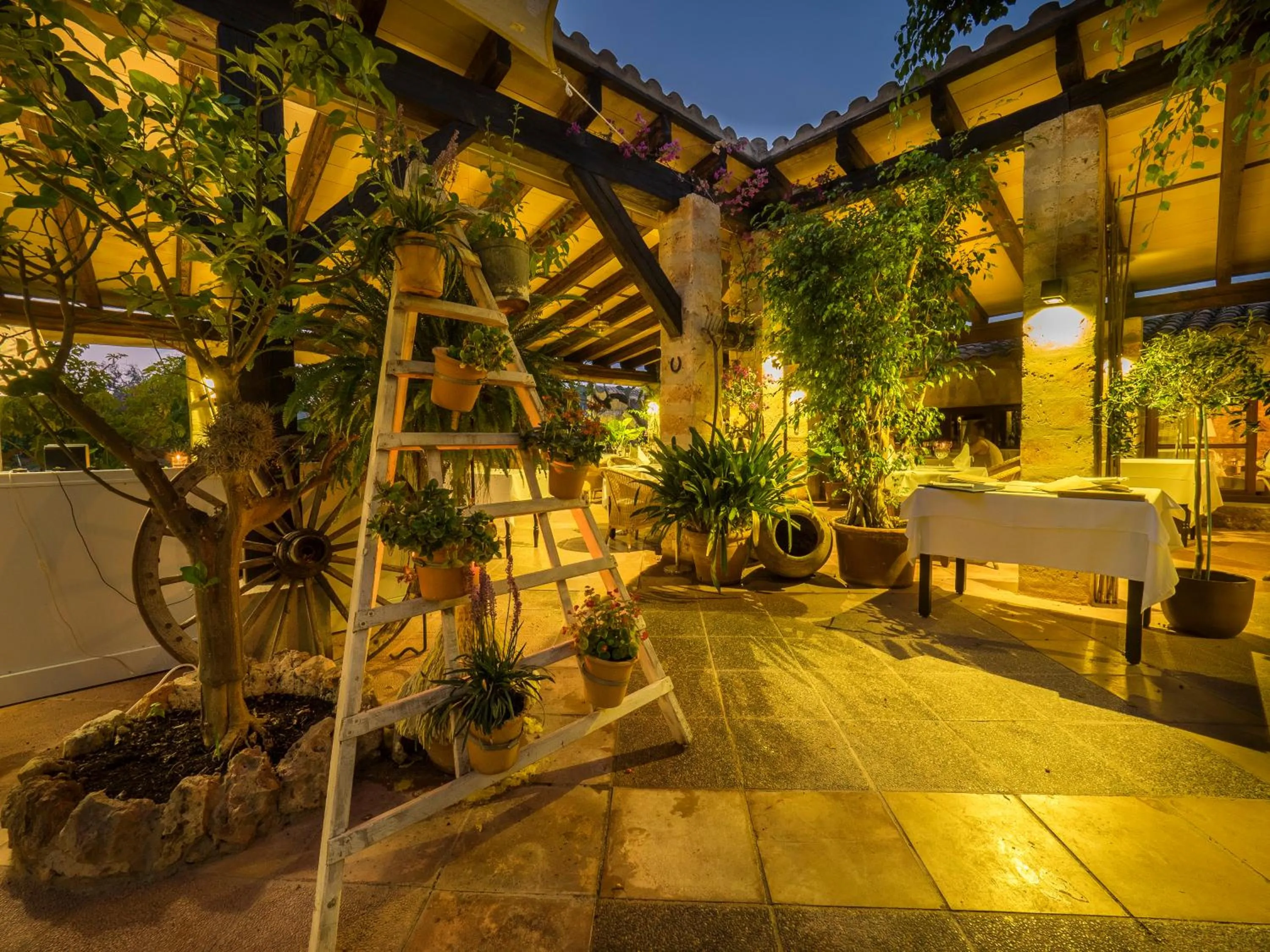 Patio in Protur Residencia Son Floriana