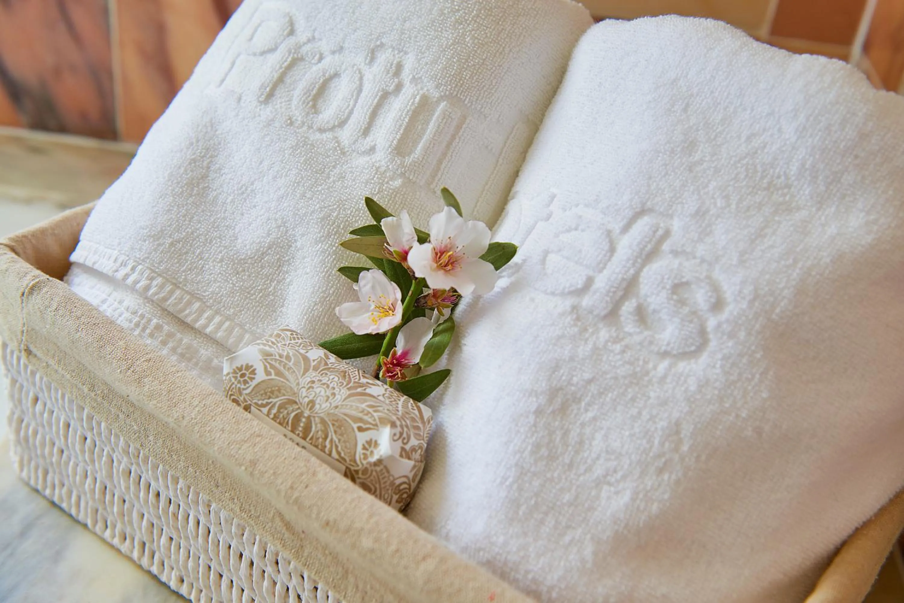 Decorative detail in Protur Residencia Son Floriana