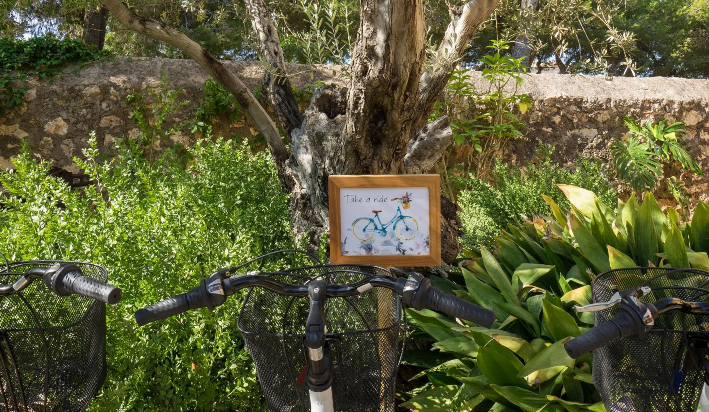 Property logo or sign in Protur Residencia Son Floriana