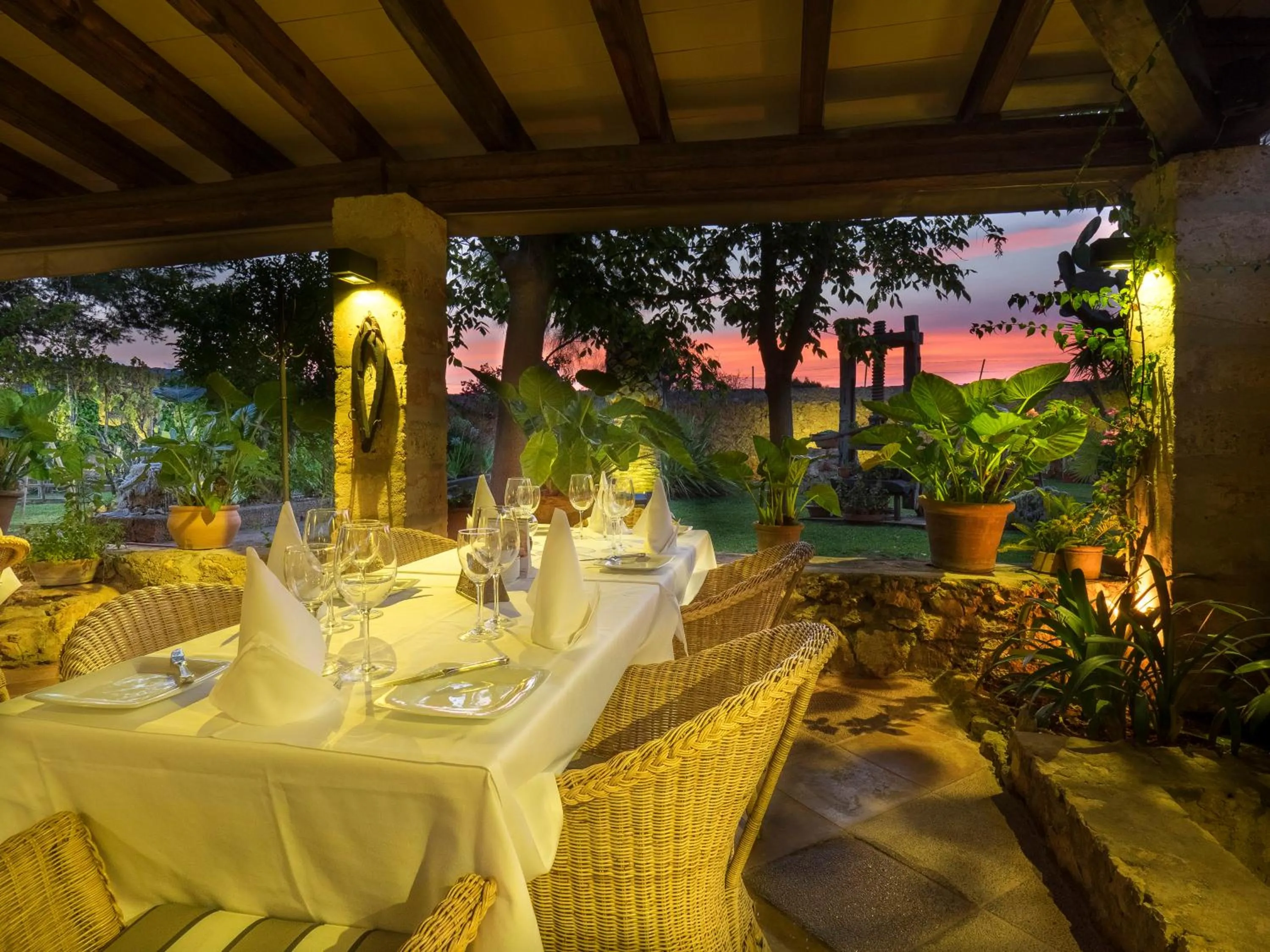 Restaurant/places to eat in Protur Residencia Son Floriana