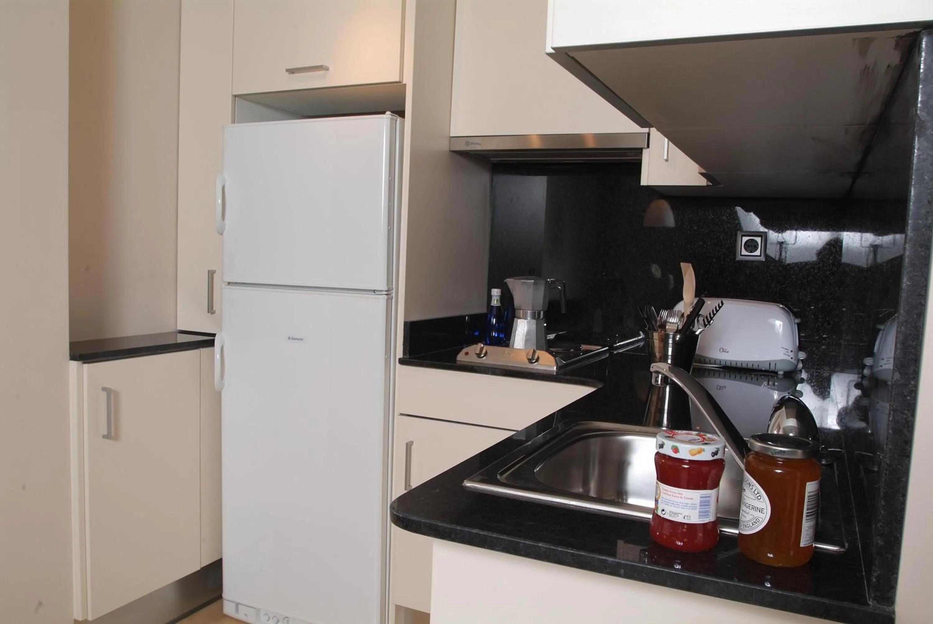 Kitchen or kitchenette in Apartamentos Royal Marina Gardens