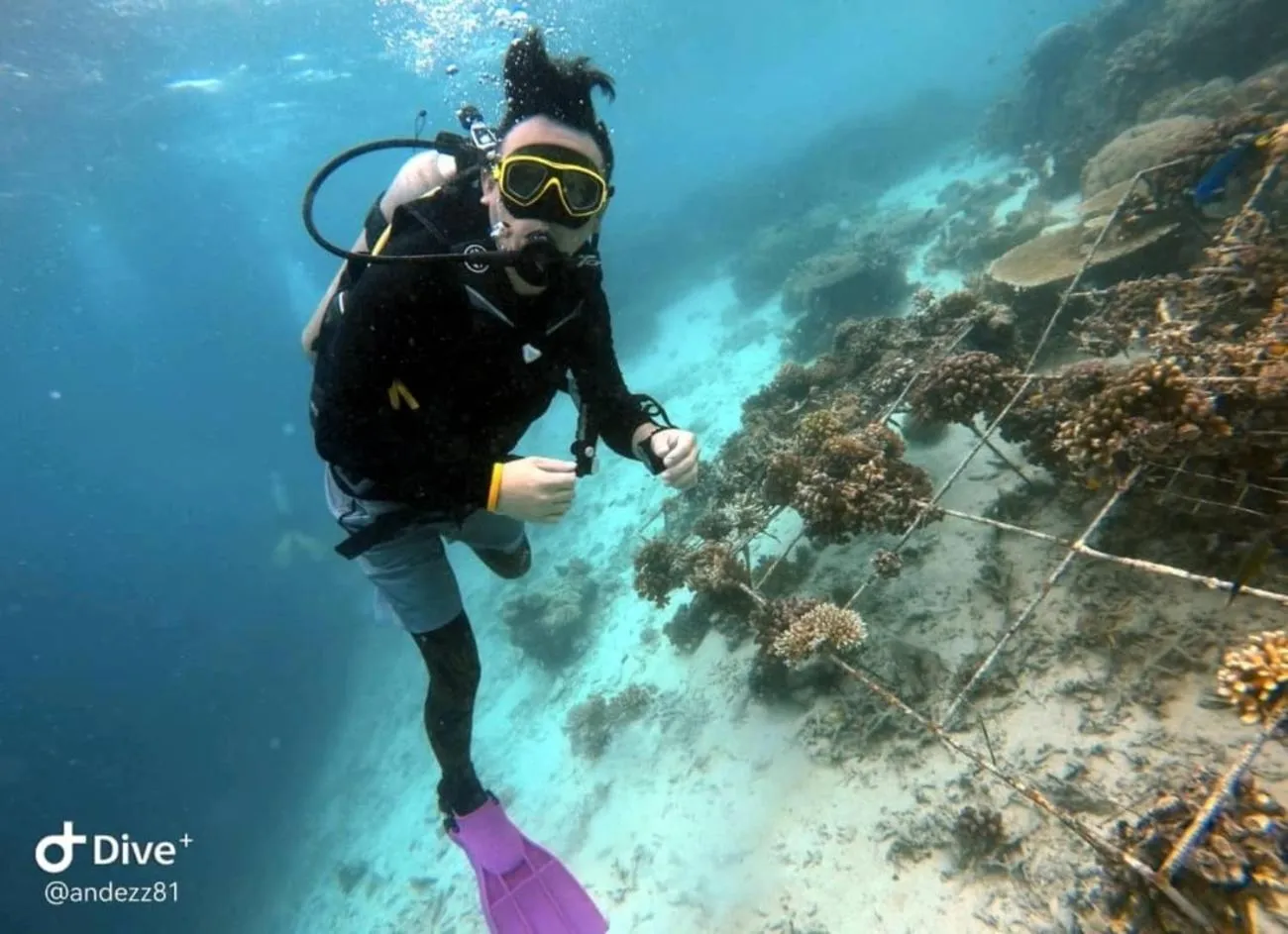 Diving in Boxinn The Kontena Home