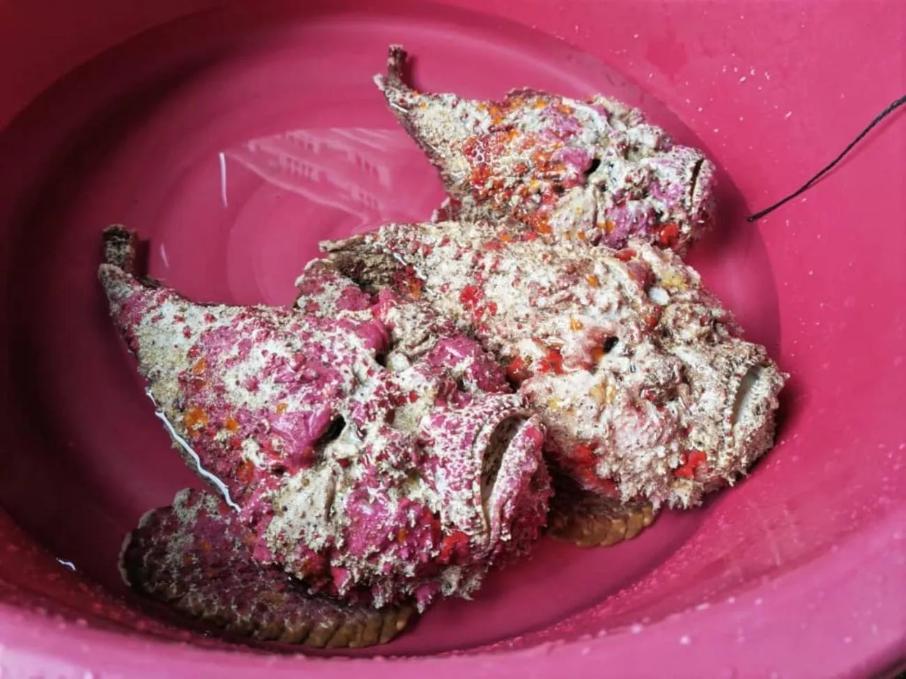 Restaurant/places to eat in Boxinn The Kontena Home