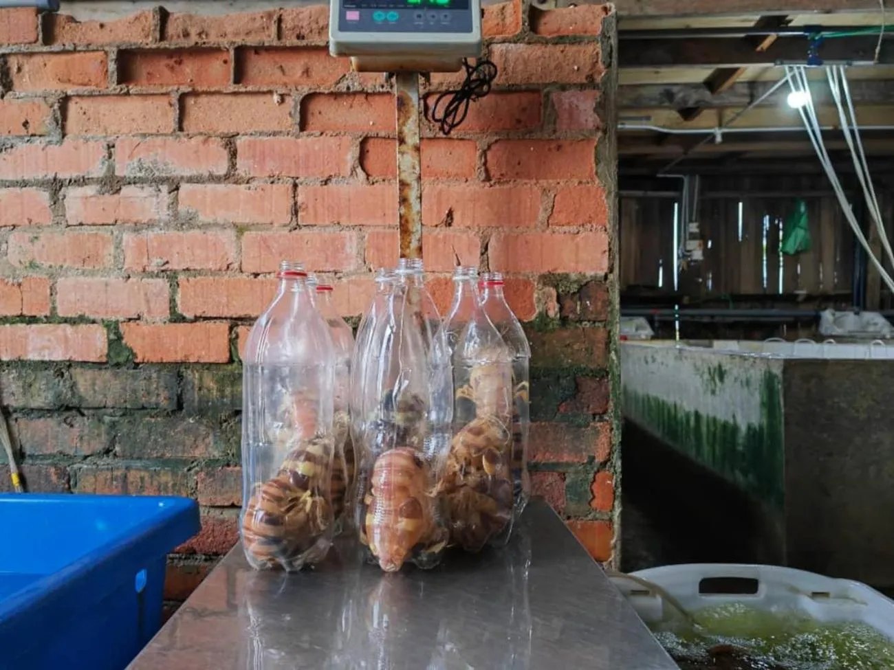 Restaurant/places to eat in Boxinn The Kontena Home