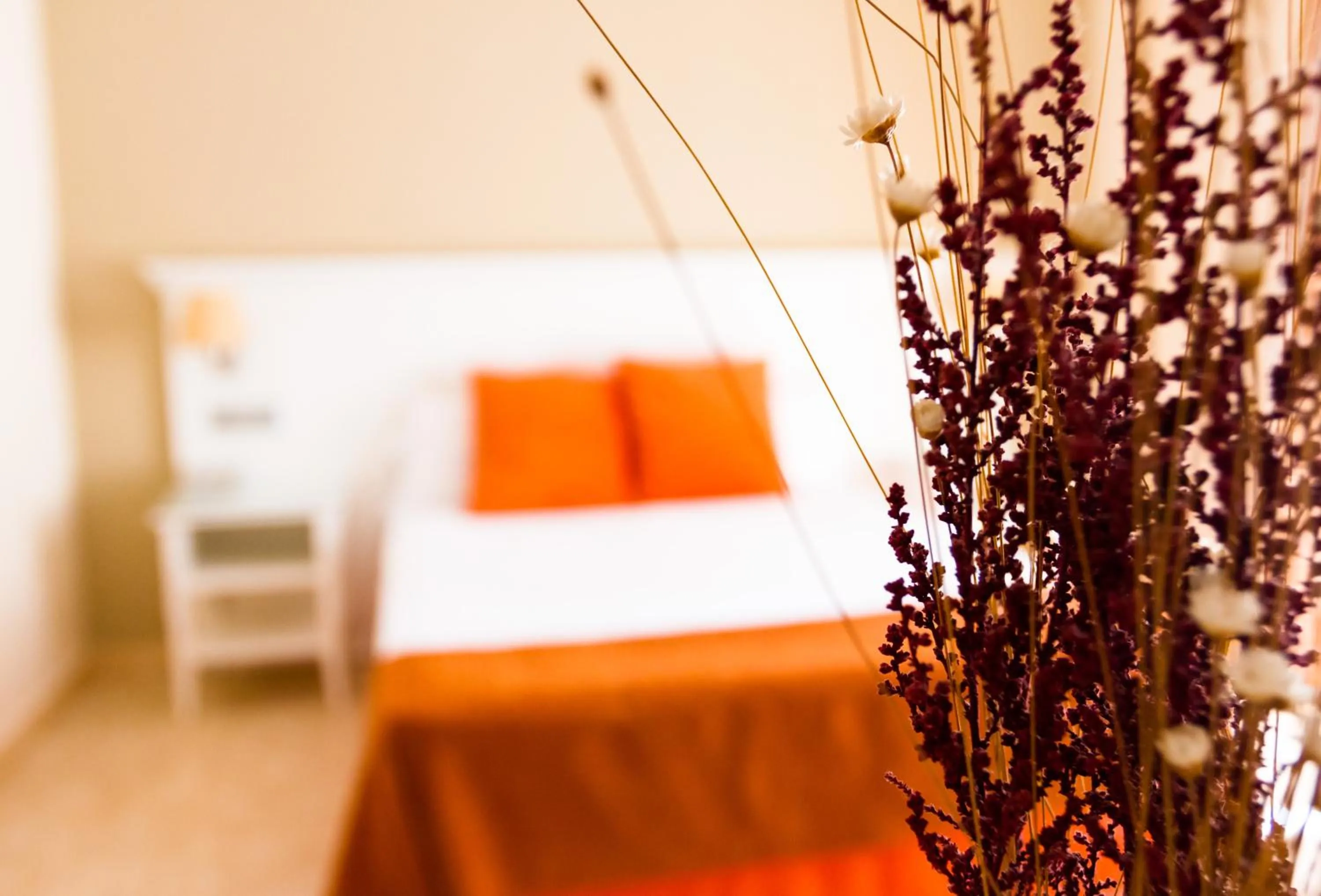 Decorative detail, Bed in Hotel Pradillo Conil