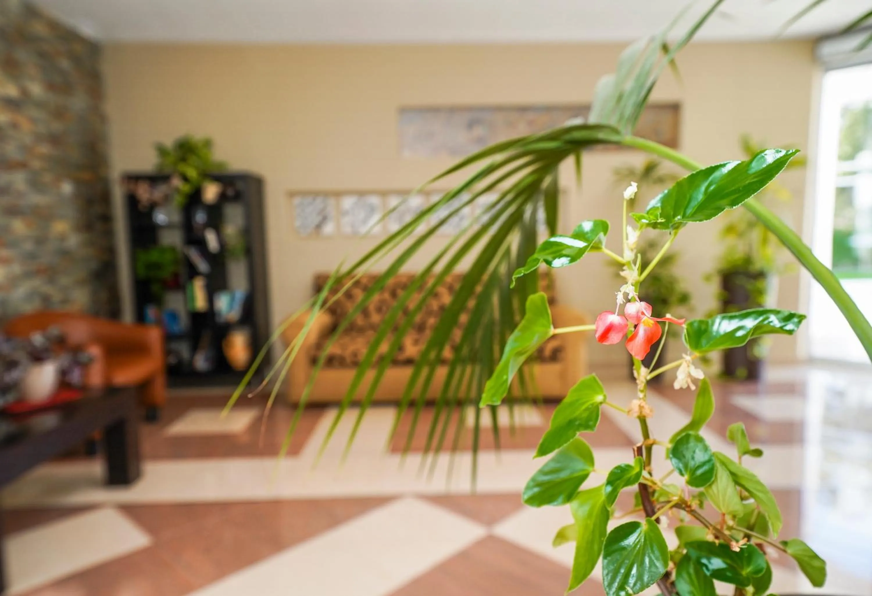 Area and facilities in Hotel Pradillo Conil