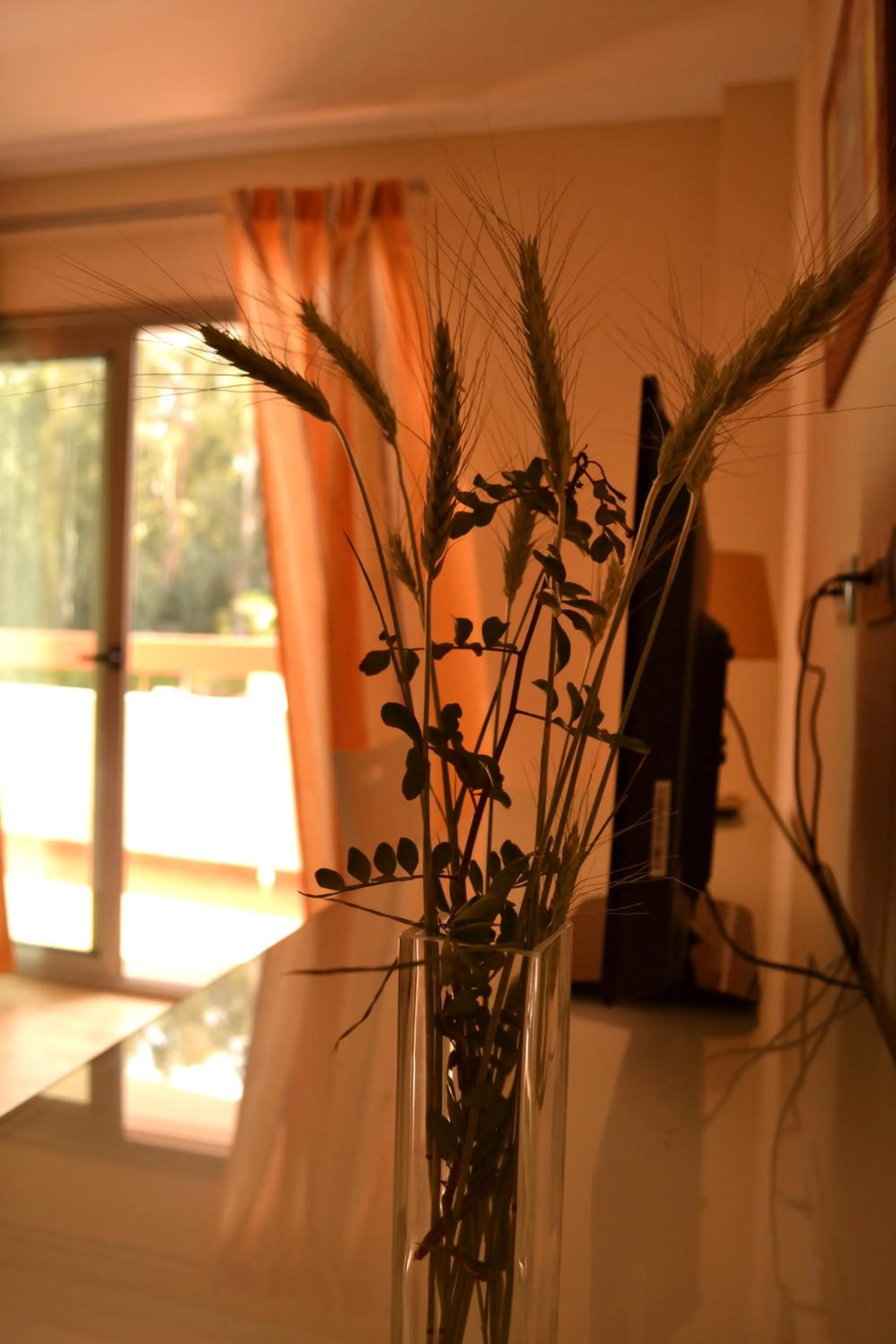 Decorative detail in Hotel Pradillo Conil