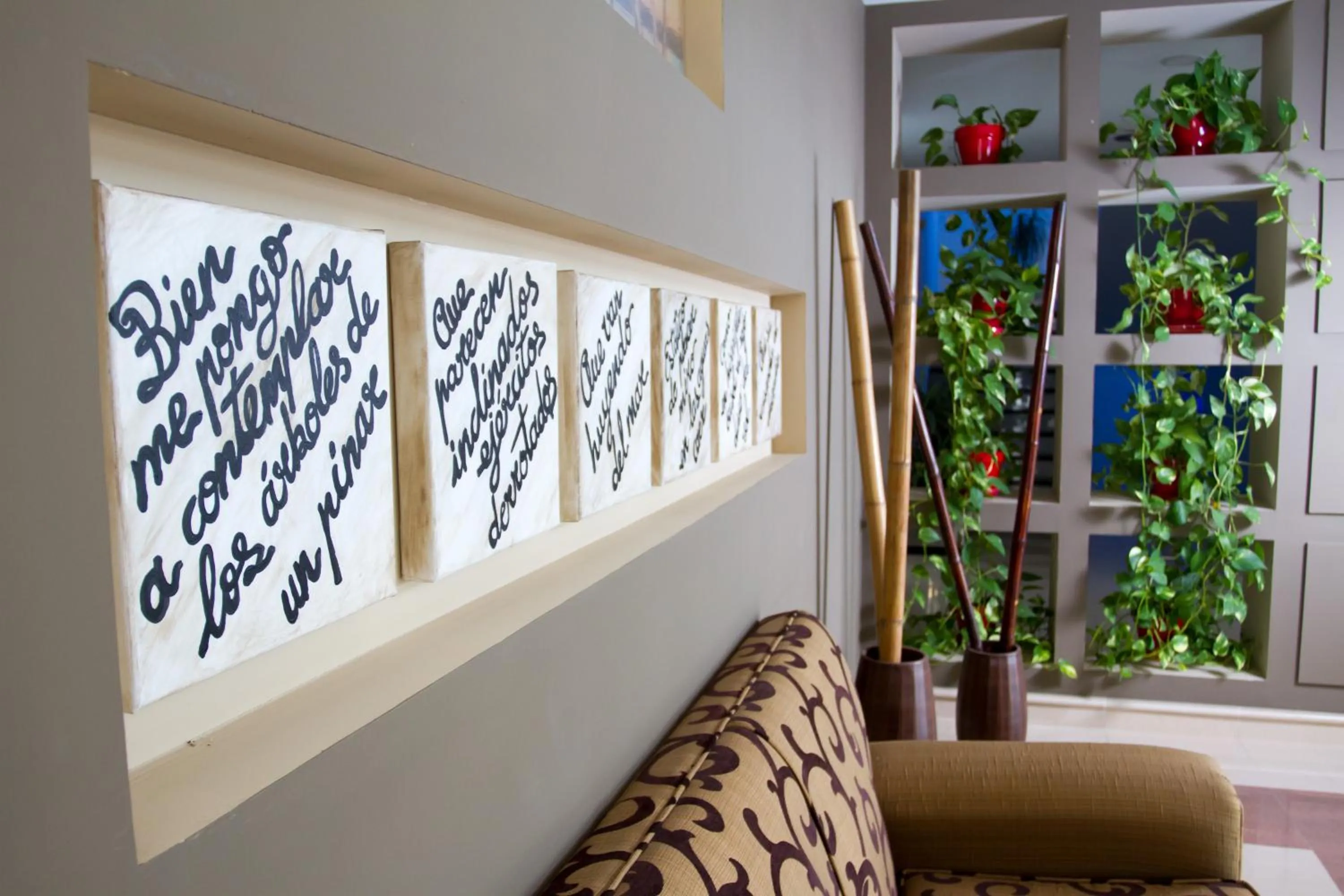 Area and facilities in Hotel Pradillo Conil