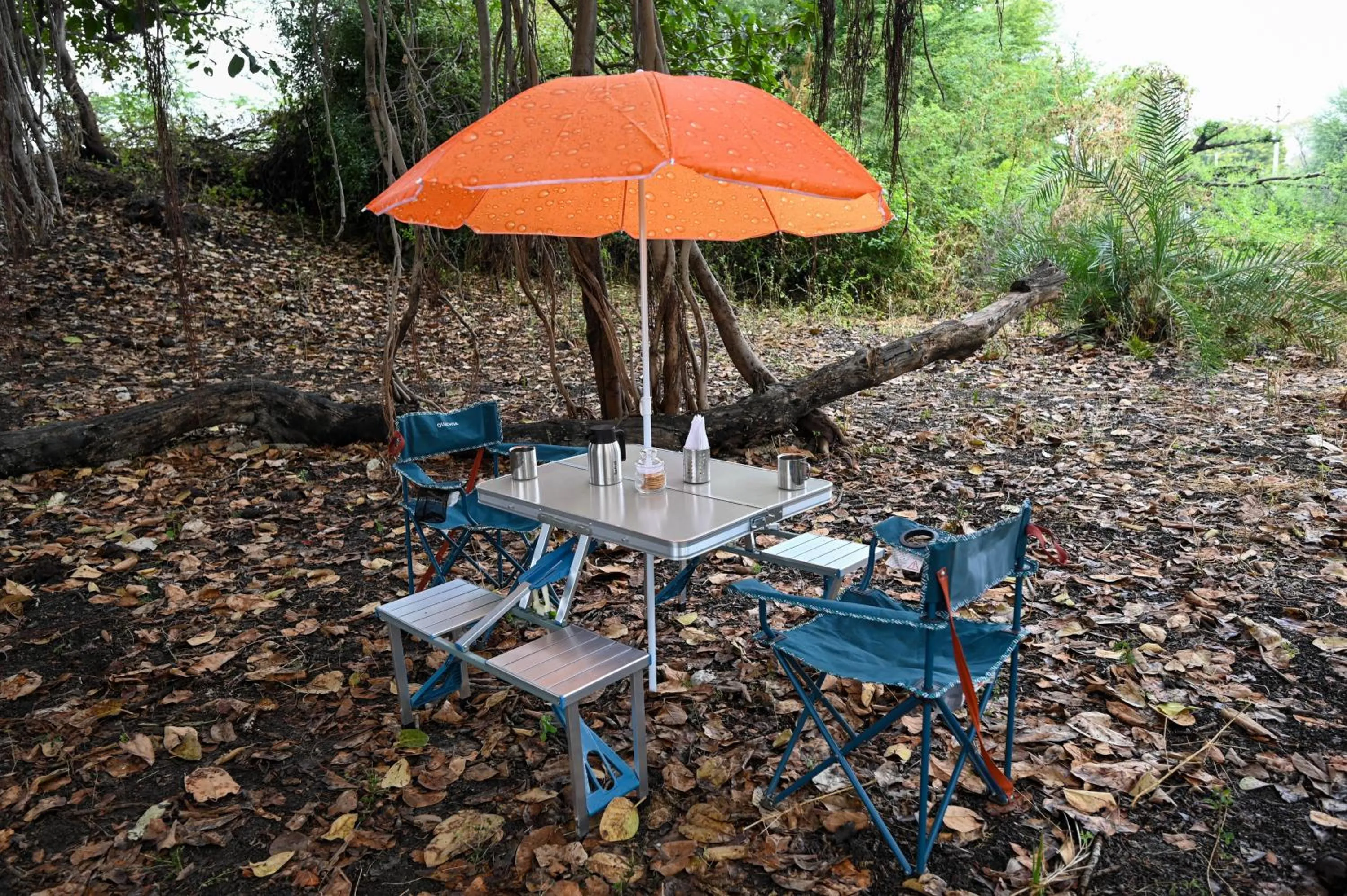 Natural landscape in Clarks Safari Jawai