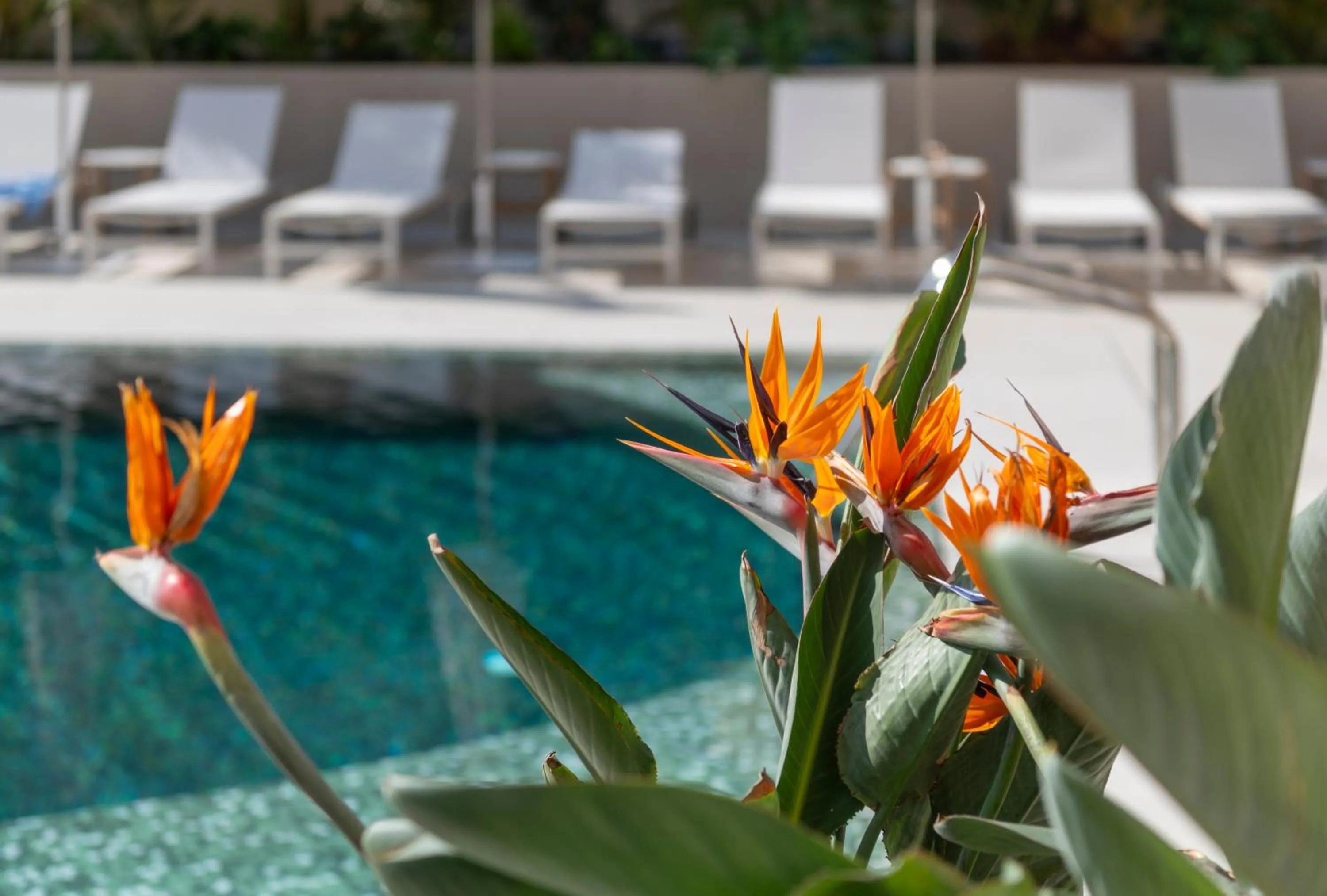 Swimming pool in AQUA Hotel Promenade & Spa 4Sup