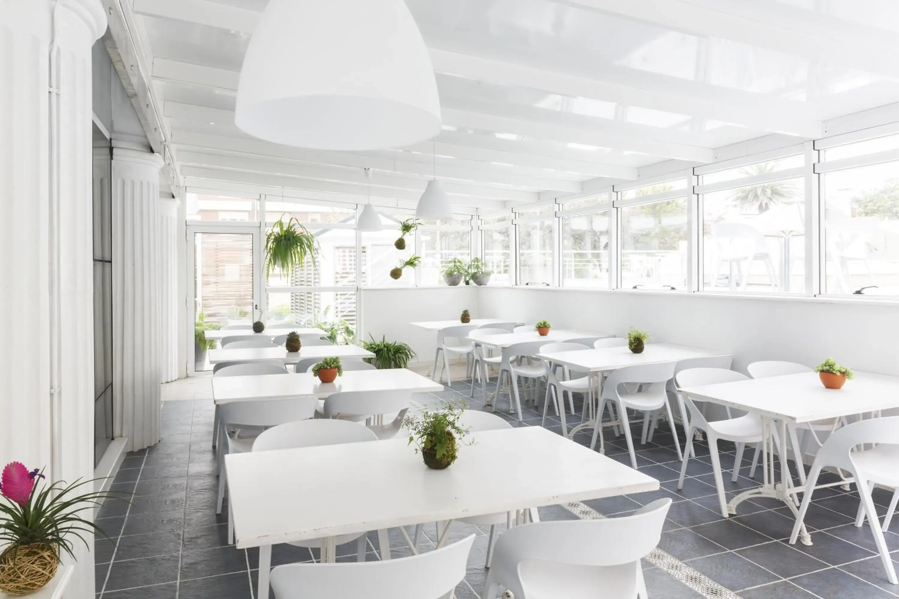 Restaurant/places to eat in Hotel Mar Azul & Surf Restaurant/places to eat in Hotel Mar Azul & Surf