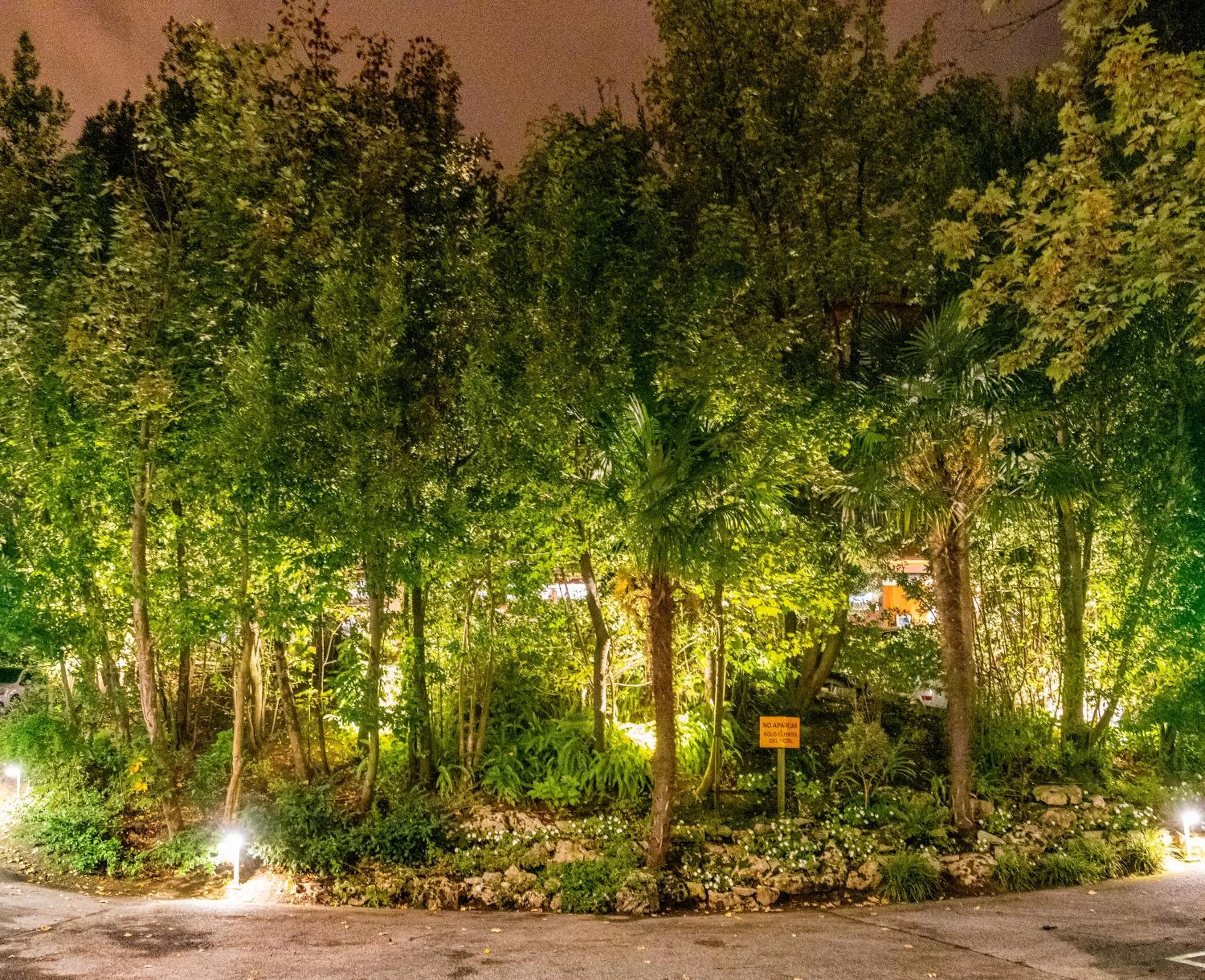 Garden in Hotel Alcazar Irun
