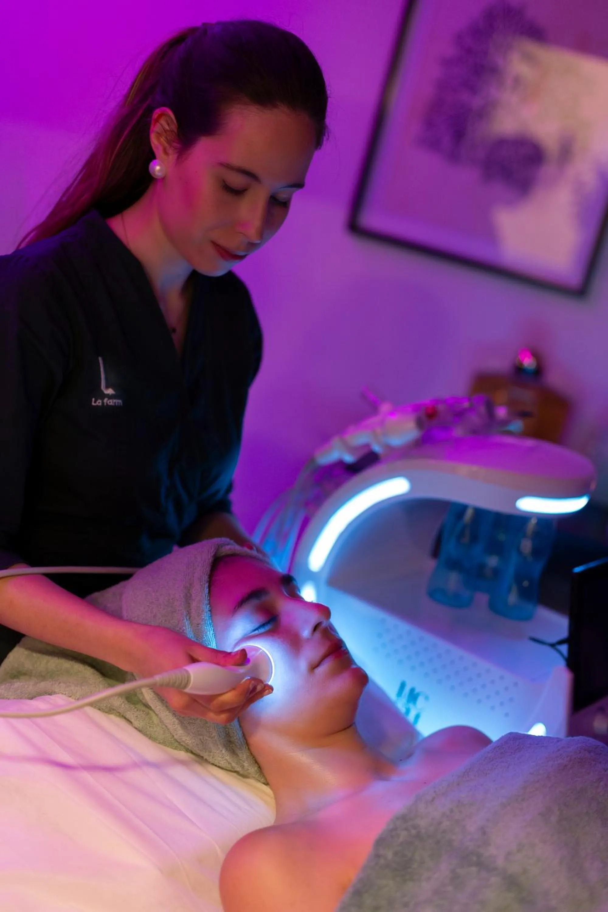 Hospedium Hotel La Farm