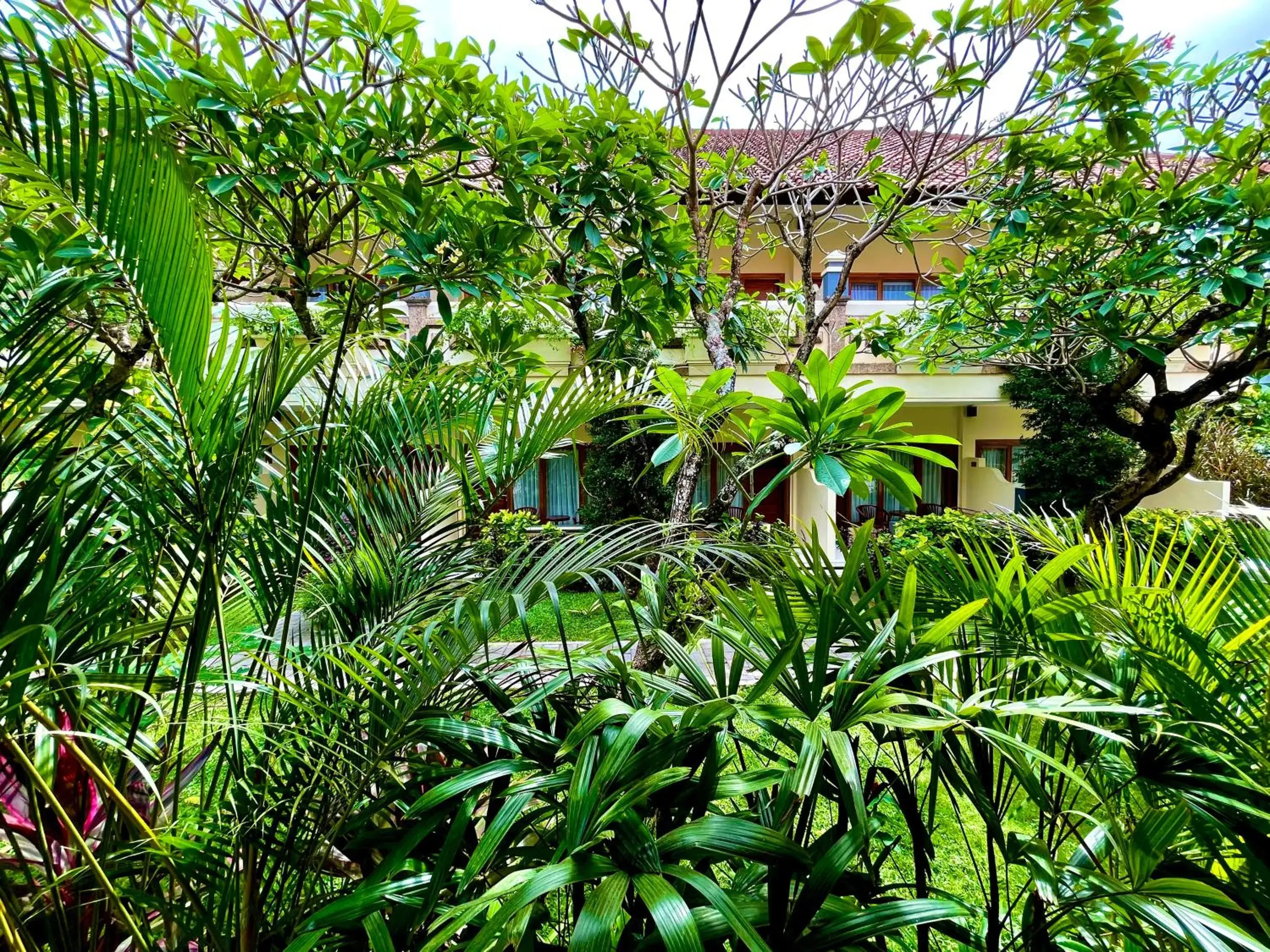 Garden view in Marine Bay Sanur Garden view in Marine Bay Sanur