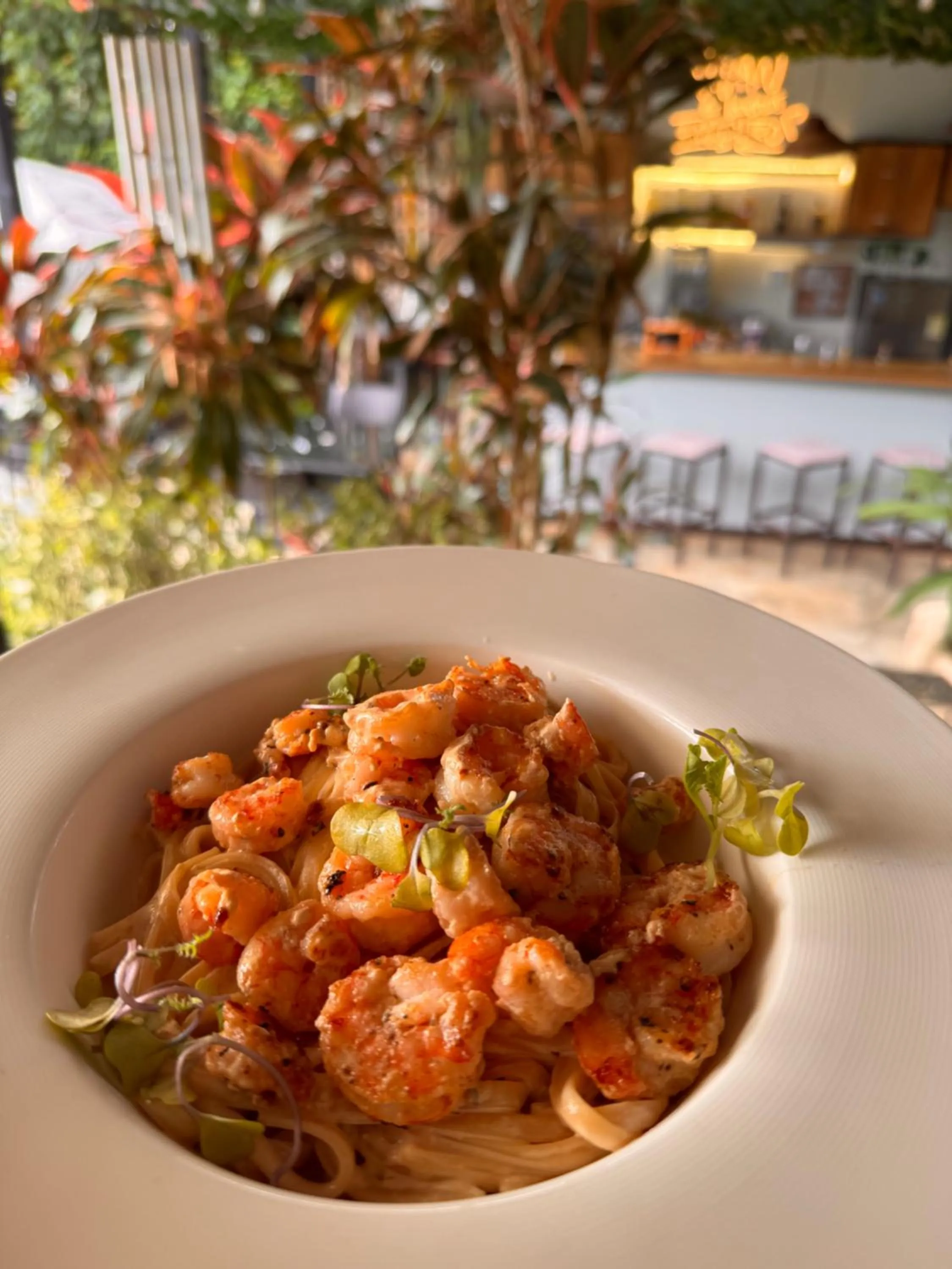 Restaurant/places to eat in Nativo