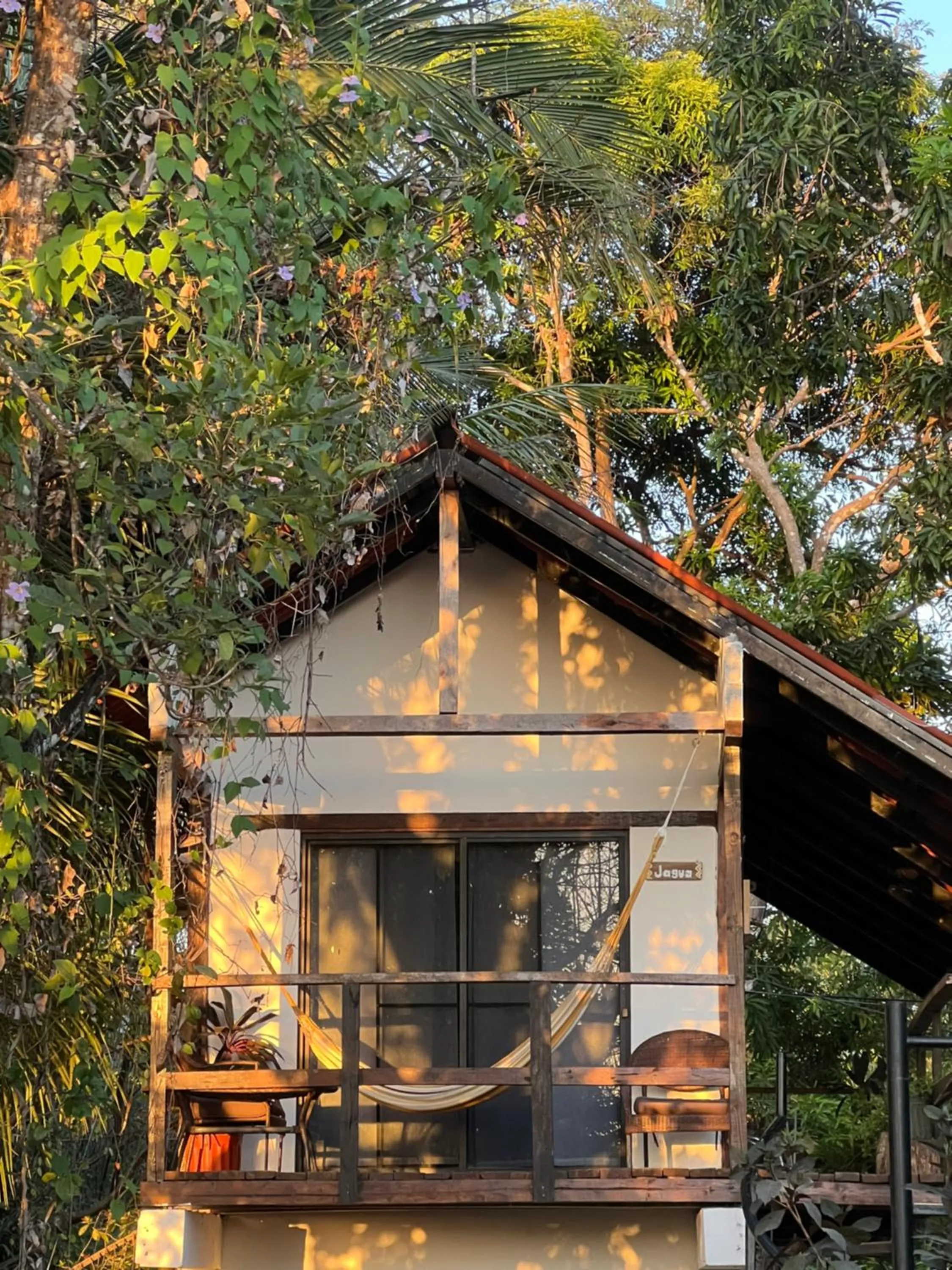 Property building in Nativo