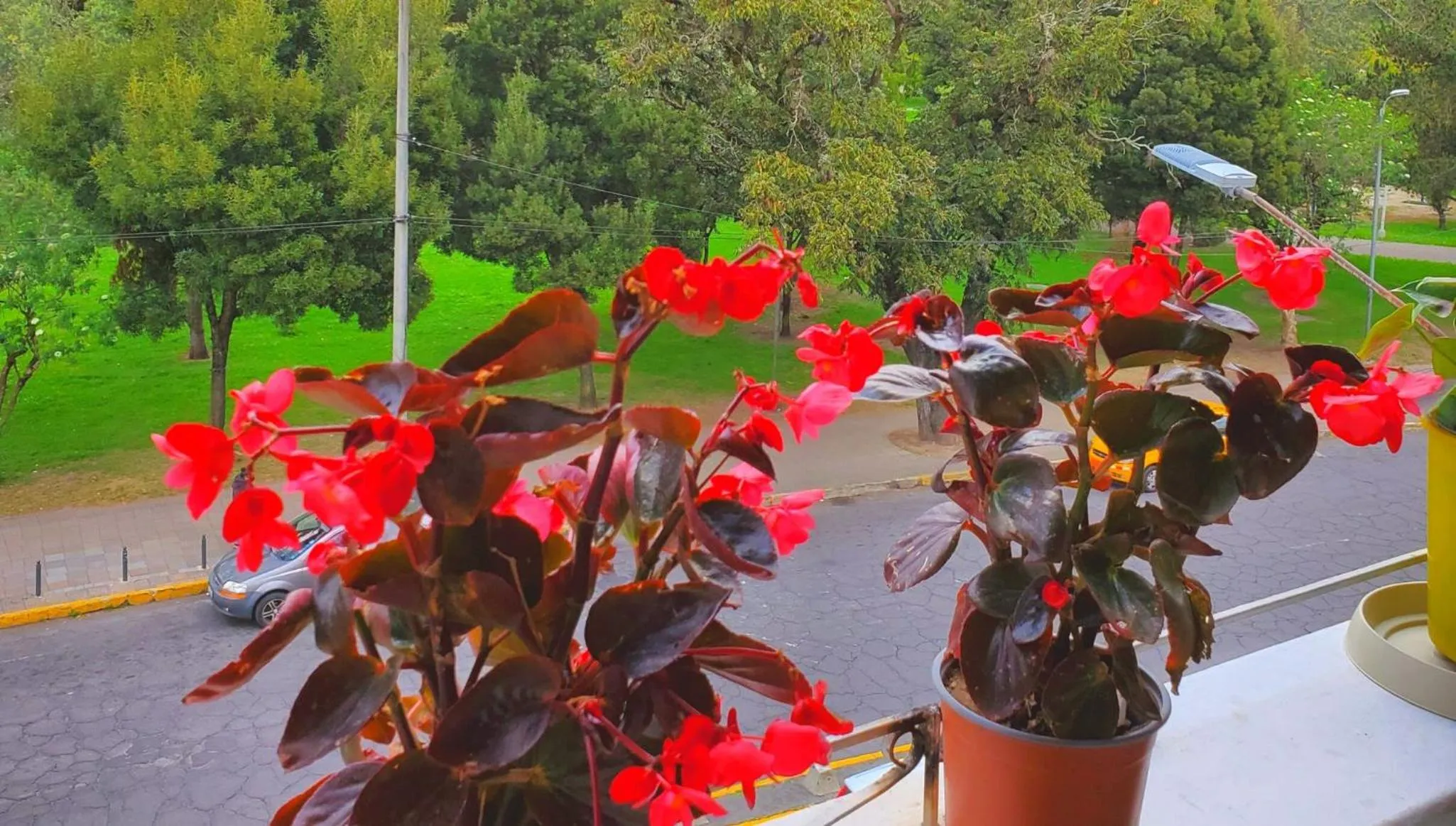 Balcony/Terrace in Hotel Inti Quito