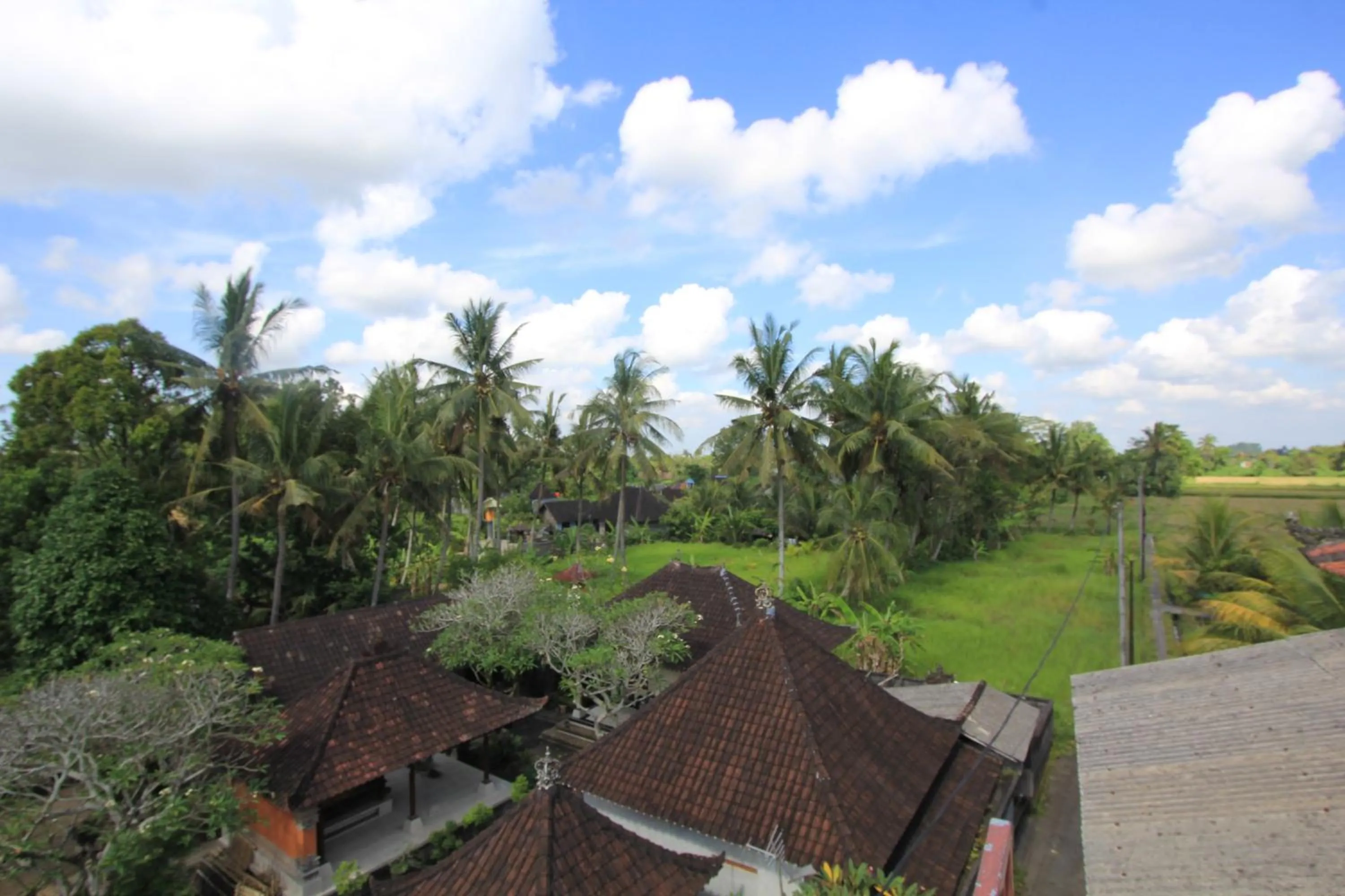 Bird's eye view in SUARA SIDHI Villa Ubud Bali