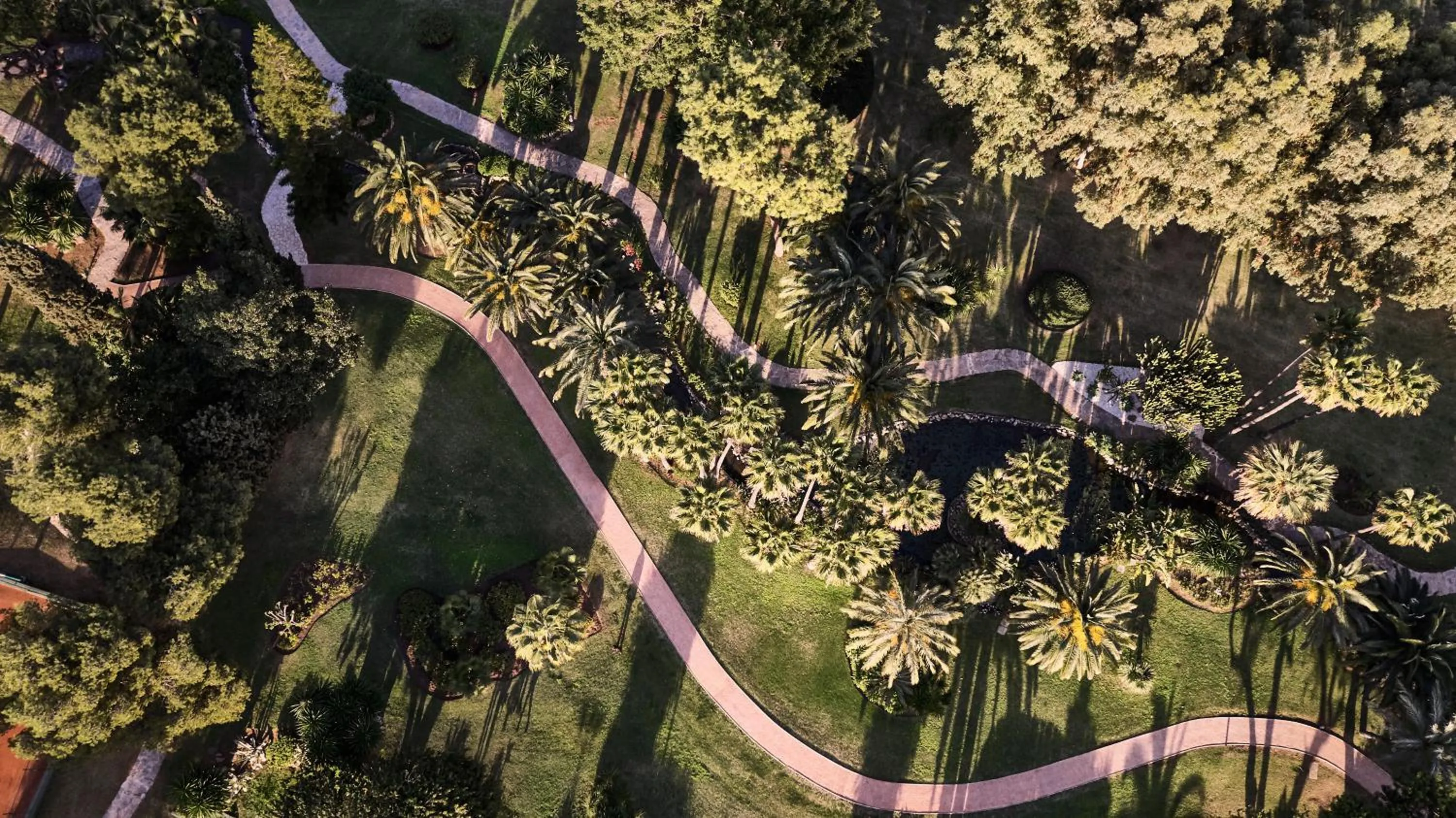 Bird's eye view in Don Carlos Marbella