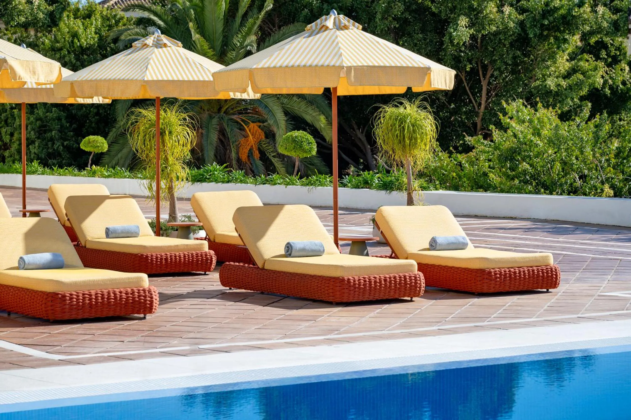 sunbed in Don Carlos Marbella