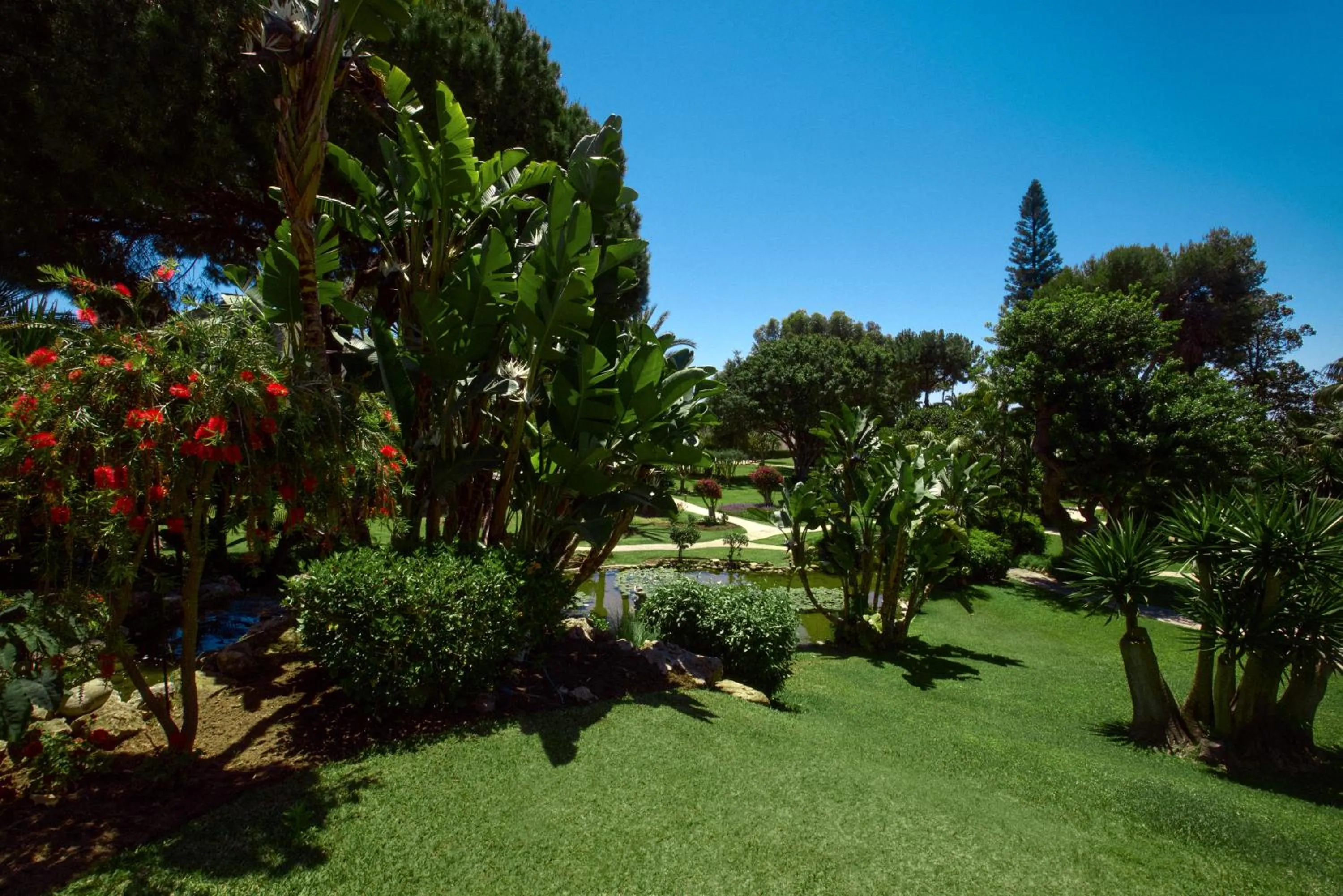 Garden in Don Carlos Marbella