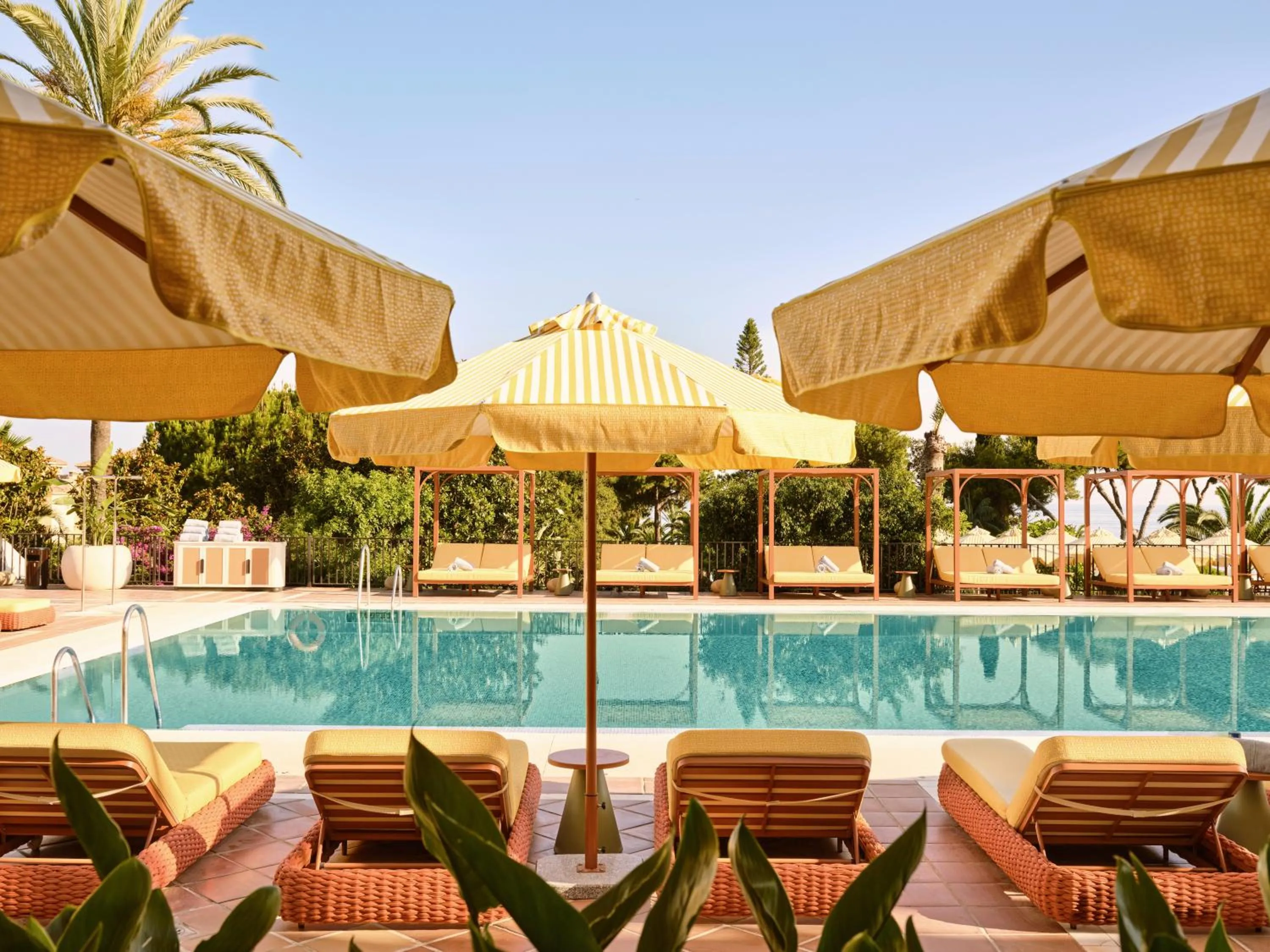 Swimming pool in Don Carlos Marbella