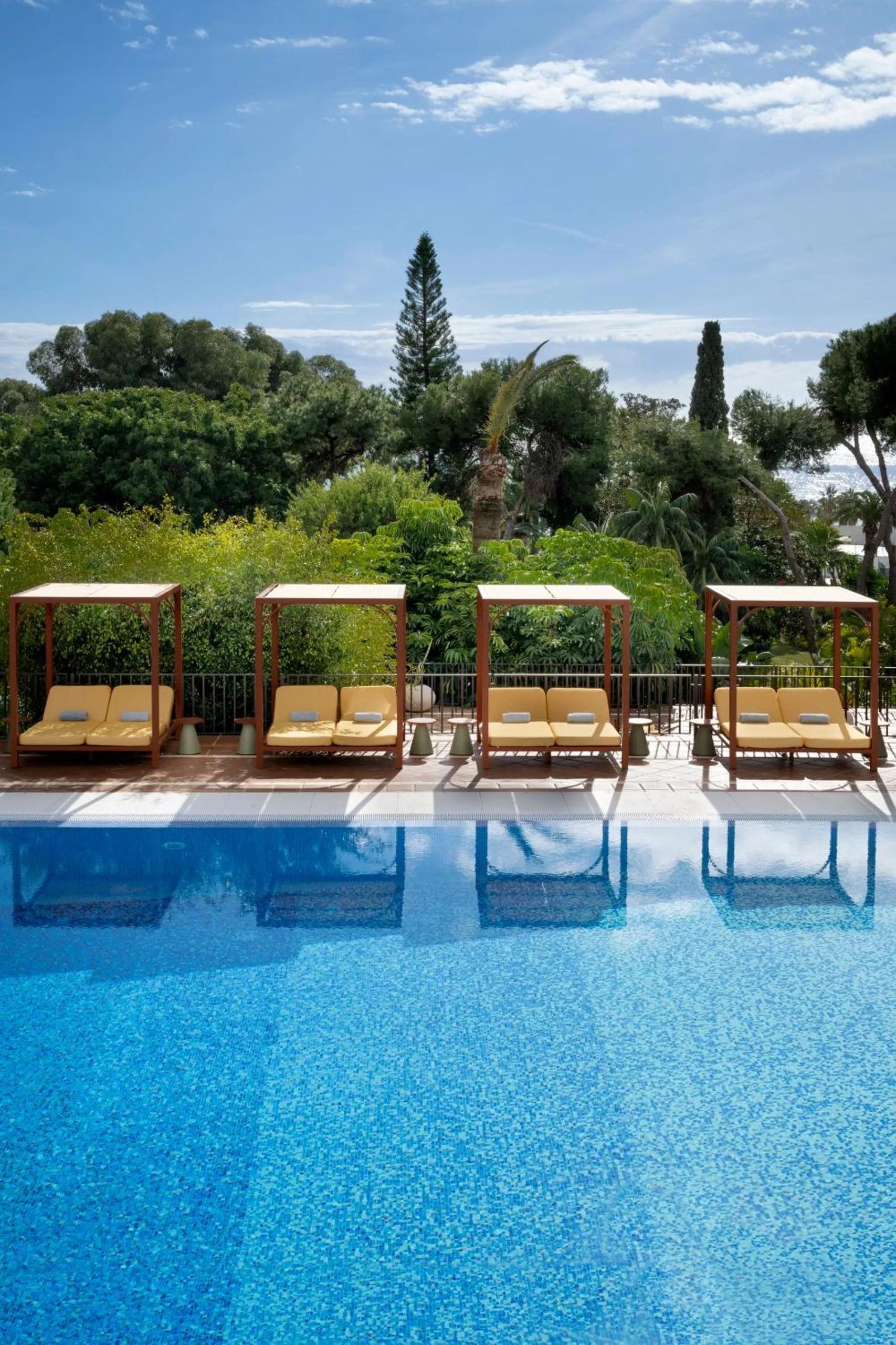 Pool view in Don Carlos Marbella