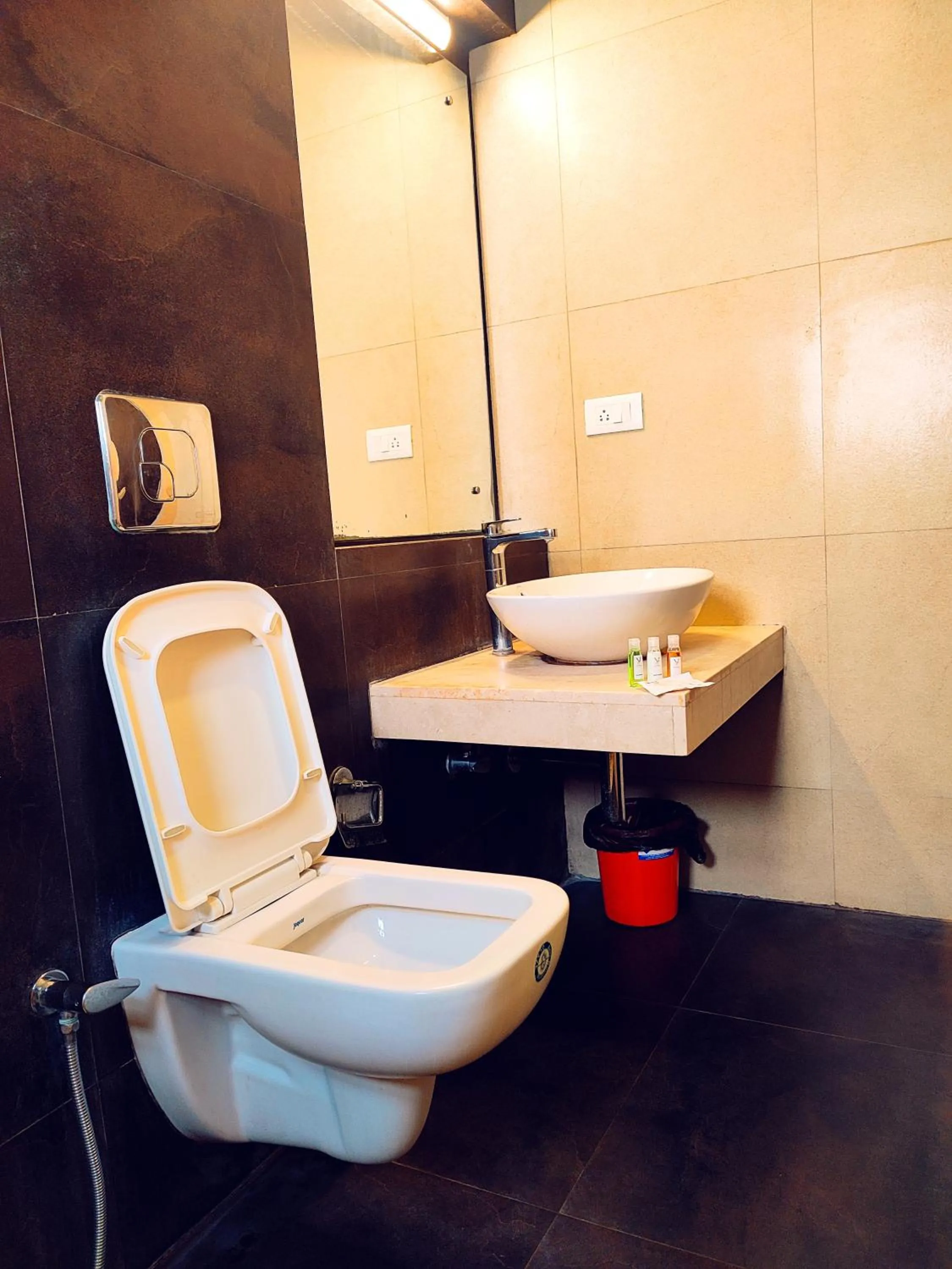 Shower in Yuvraj Palace Inn