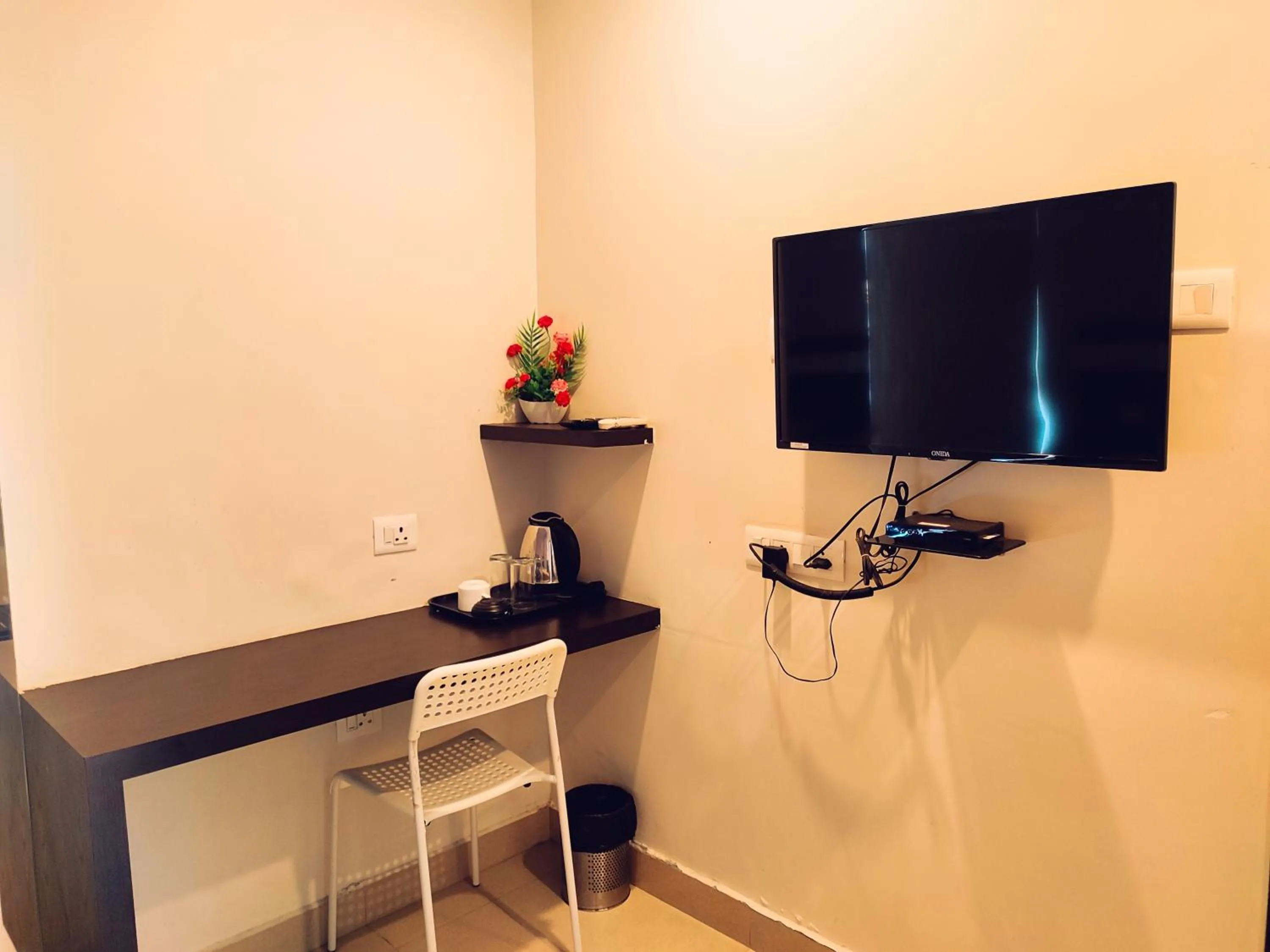 TV and multimedia in Yuvraj Palace Inn