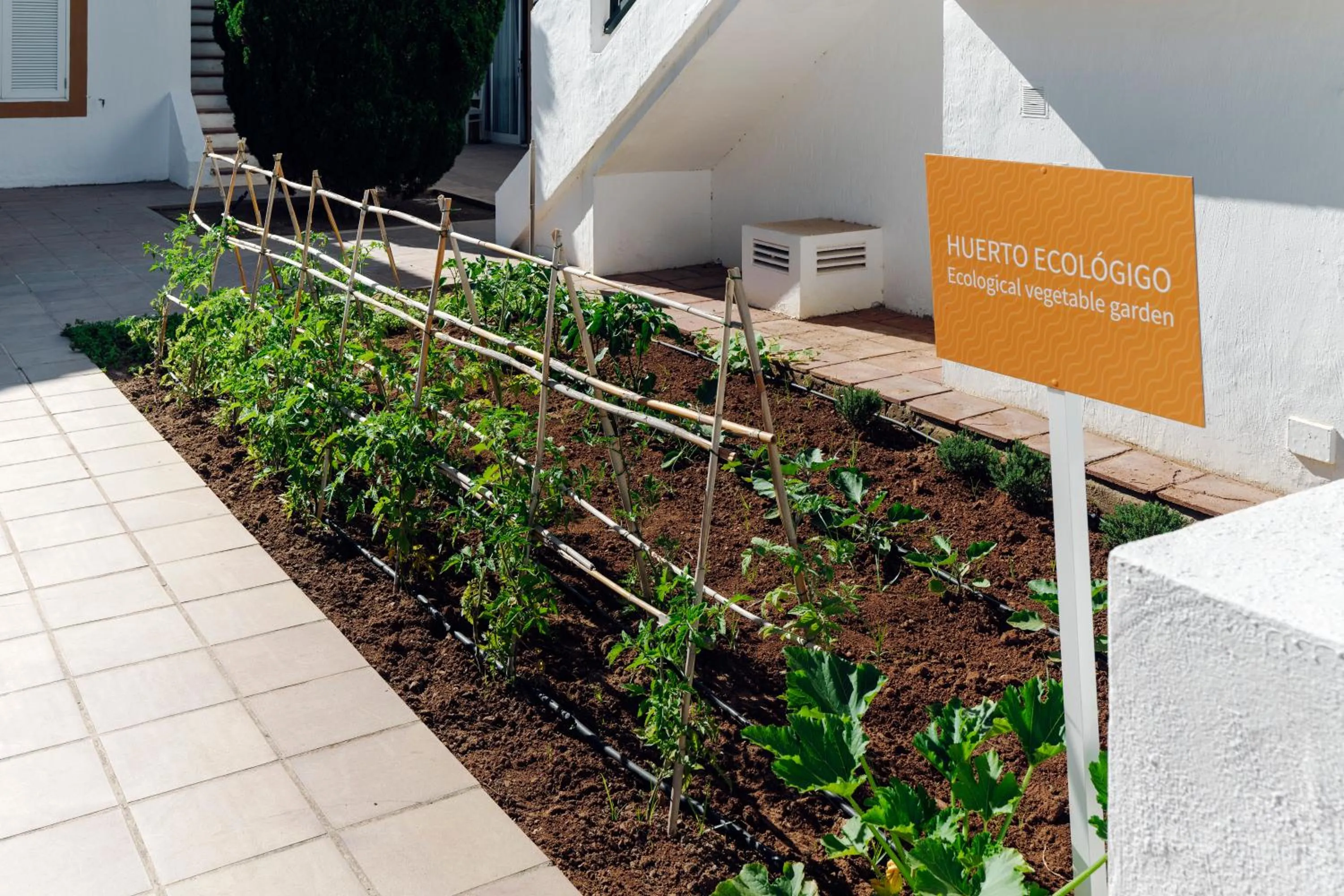 Patio in AluaSun Lago Park