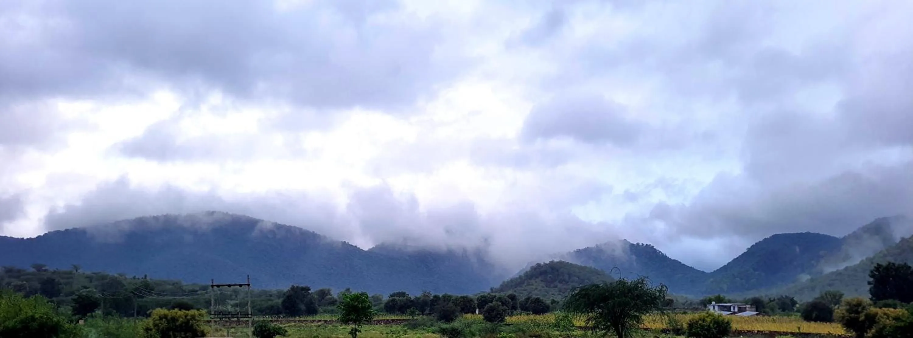 Natural landscape in Sariska Kasba - A Village Resort