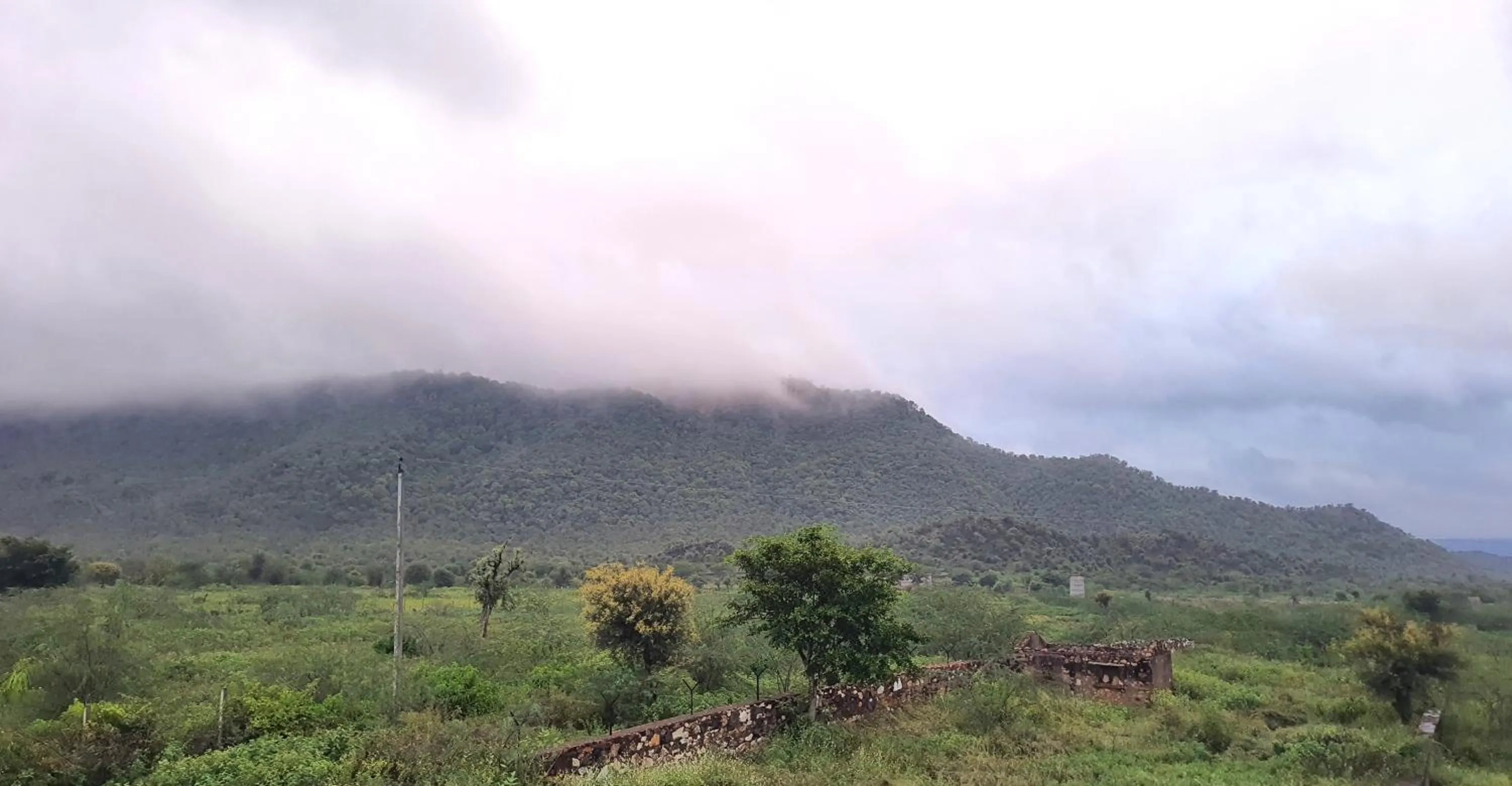 Natural landscape in Sariska Kasba - A Village Resort