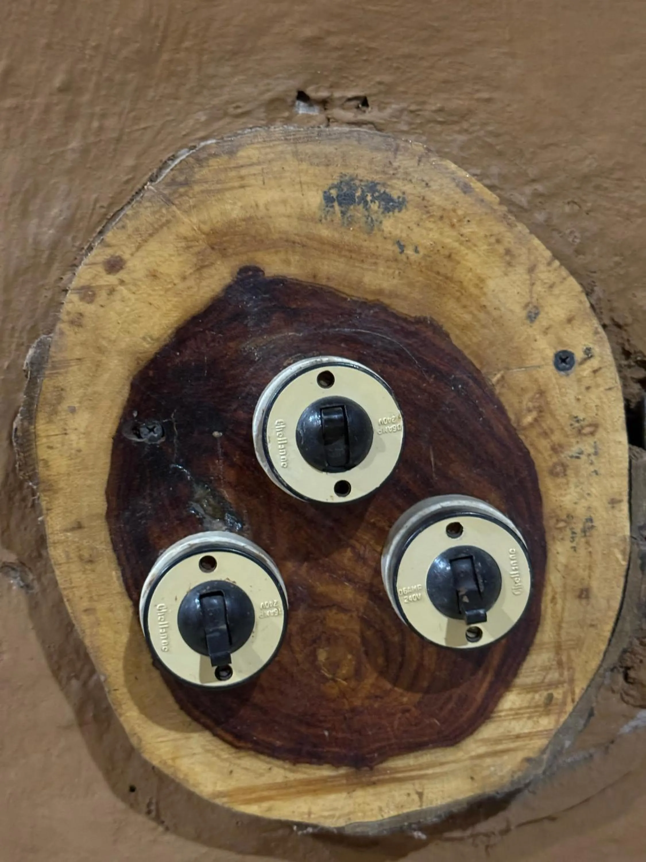 Decorative detail in Sariska Kasba - A Village Resort