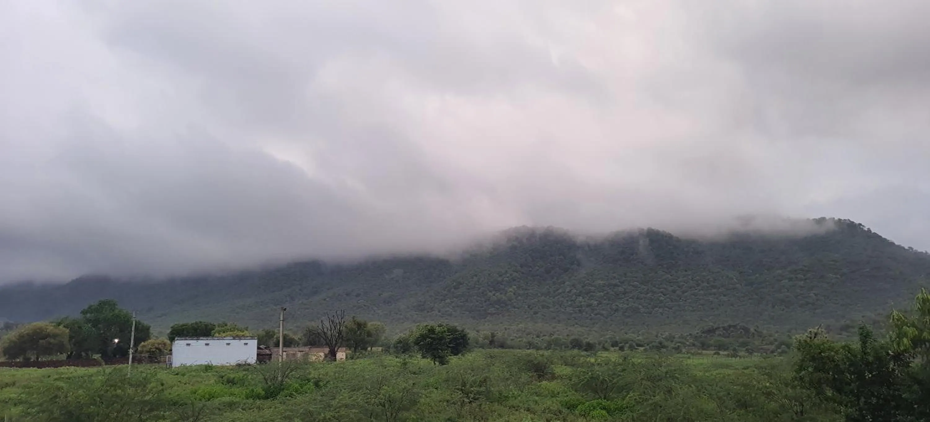 Natural landscape in Sariska Kasba - A Village Resort