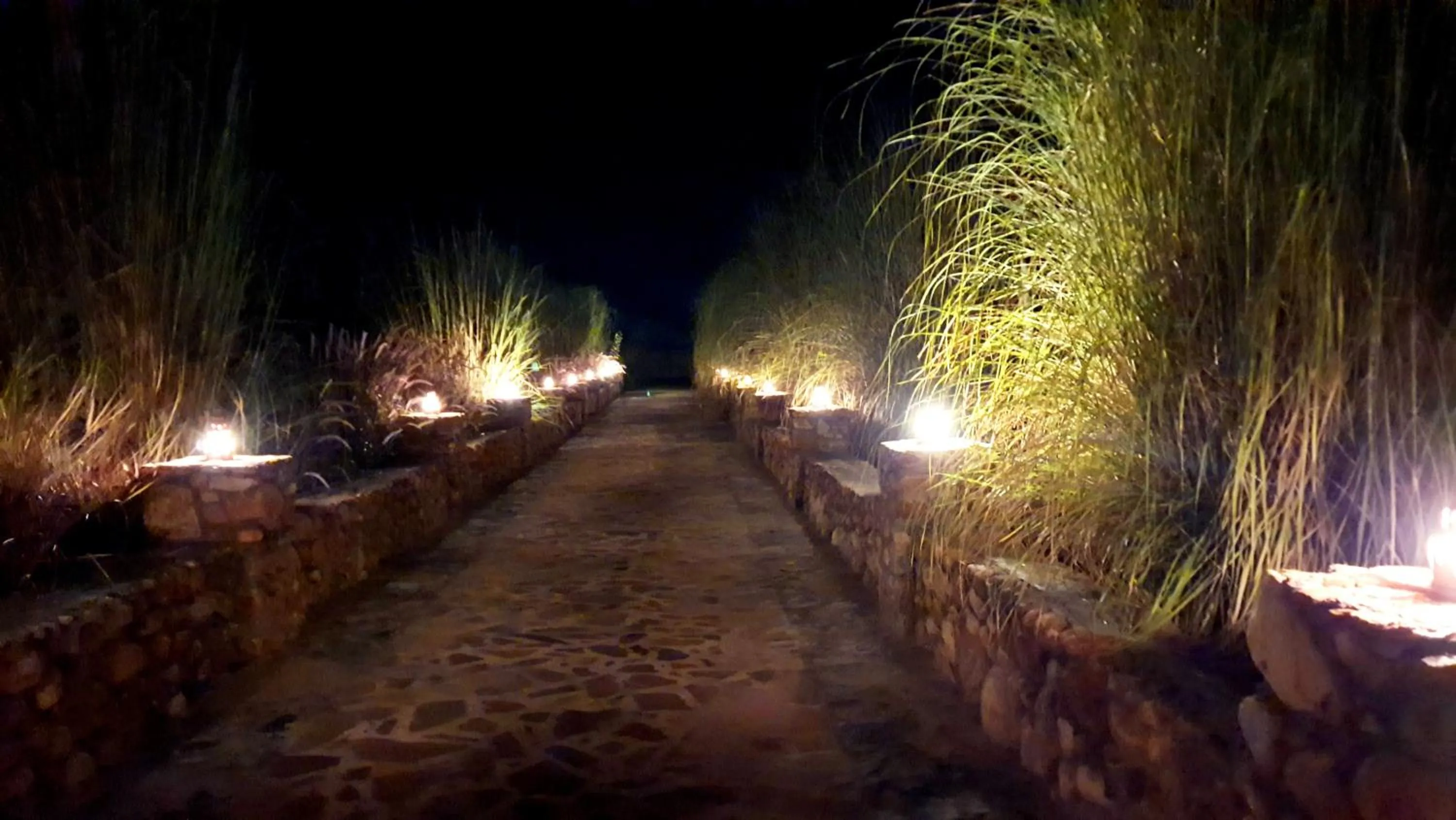 Night in Sariska Kasba - A Village Resort