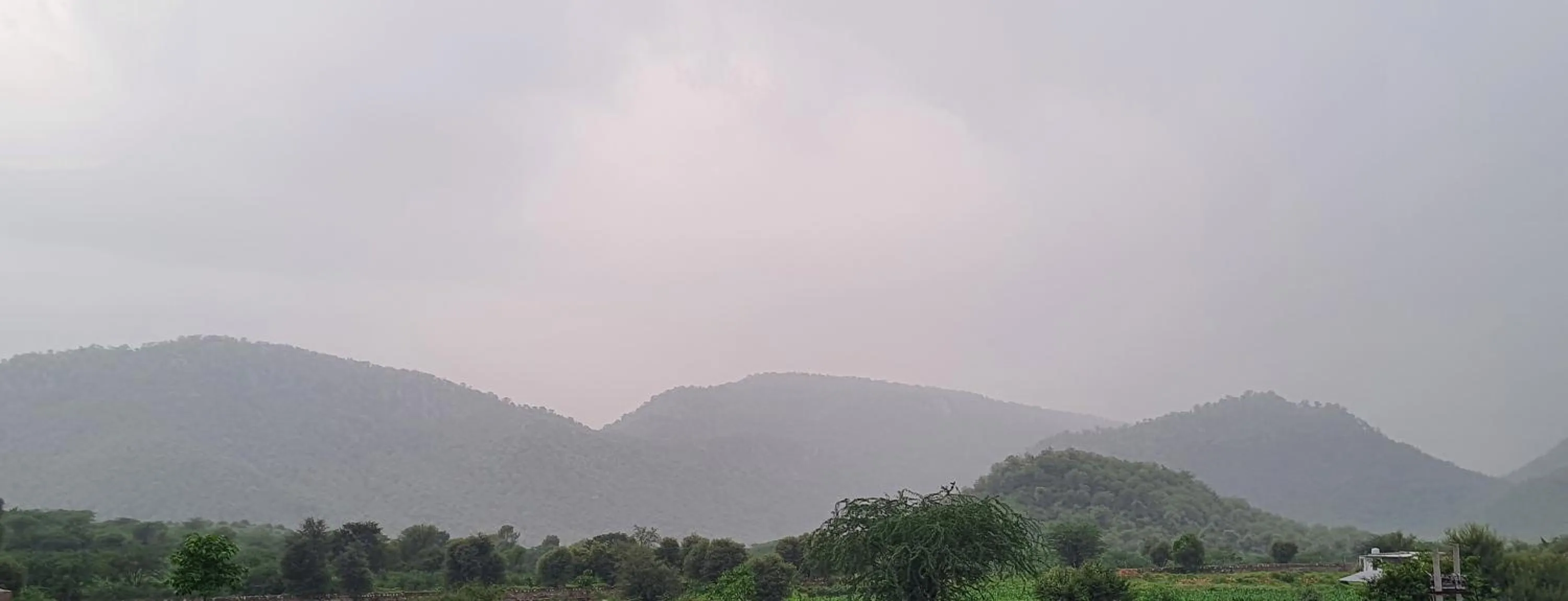 Natural landscape in Sariska Kasba - A Village Resort