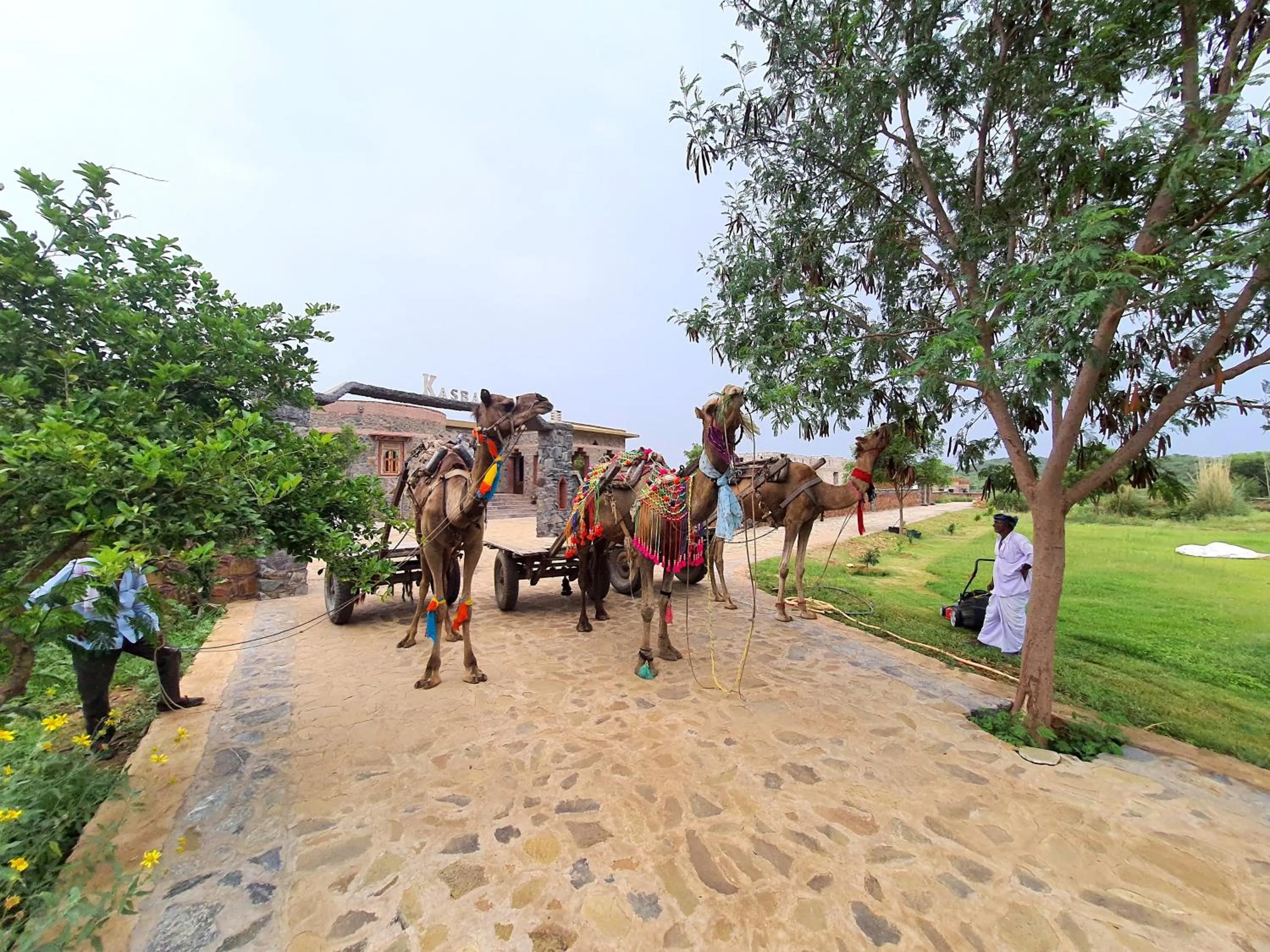 Activities in Sariska Kasba - A Village Resort
