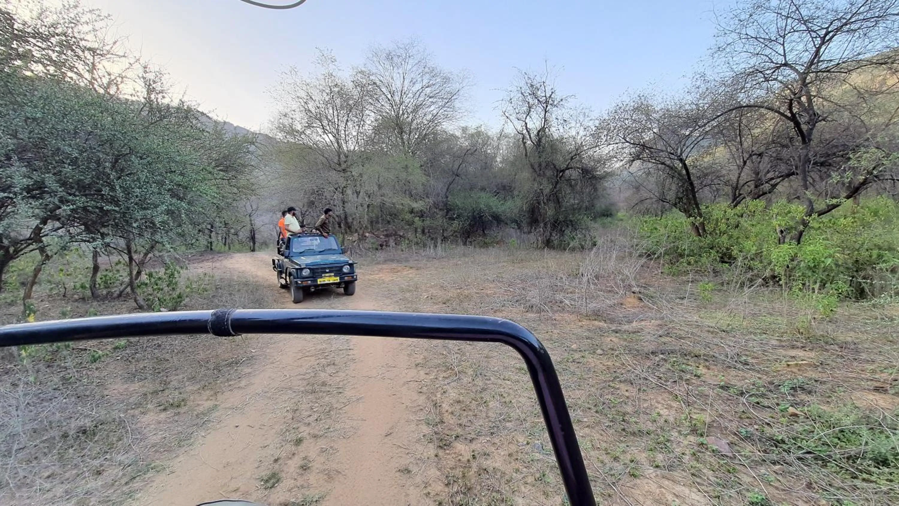 Activities in Sariska Kasba - A Village Resort