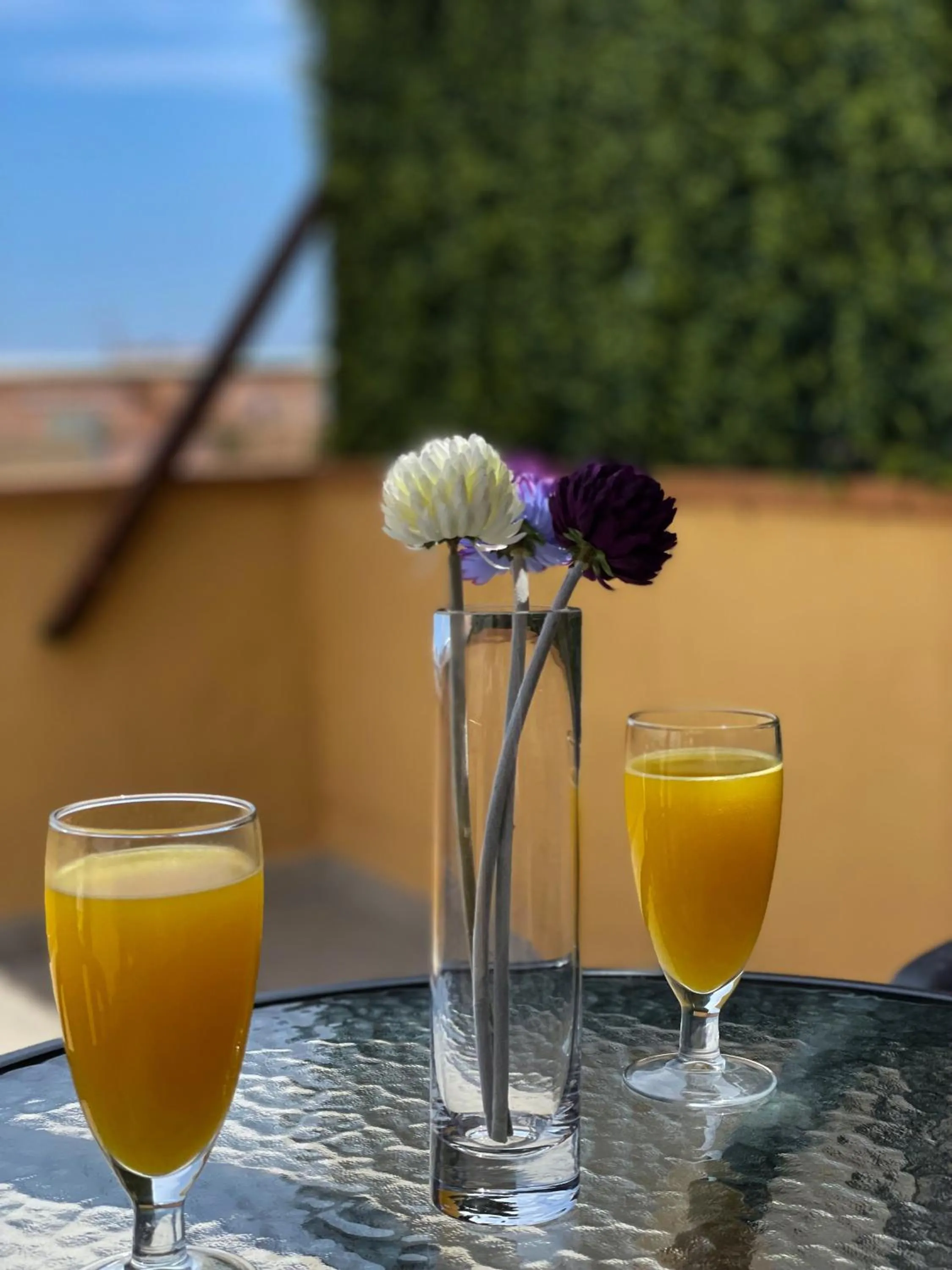 Balcony/Terrace in Hotel Turissa