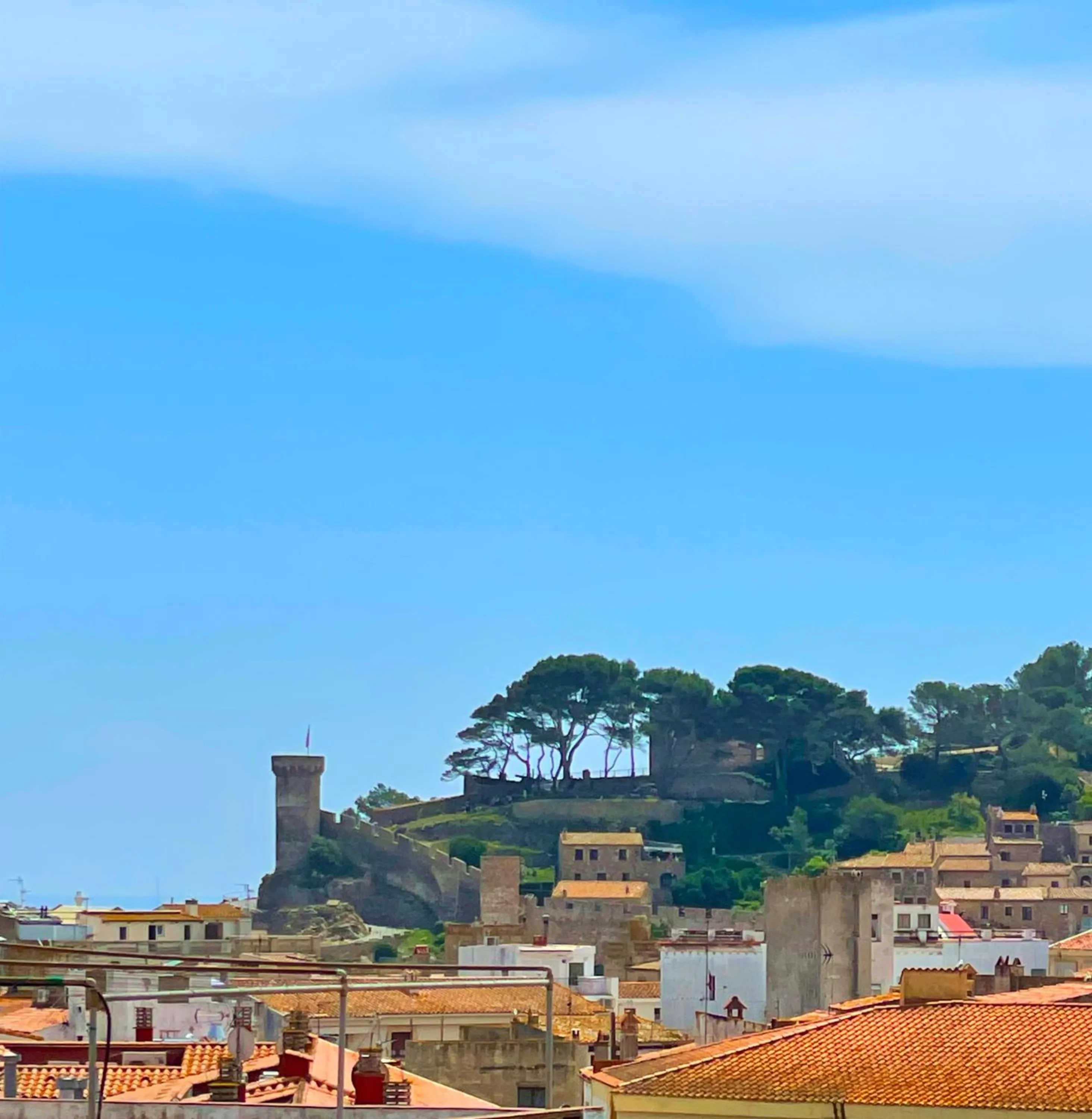 View (from property/room) in Hotel Turissa