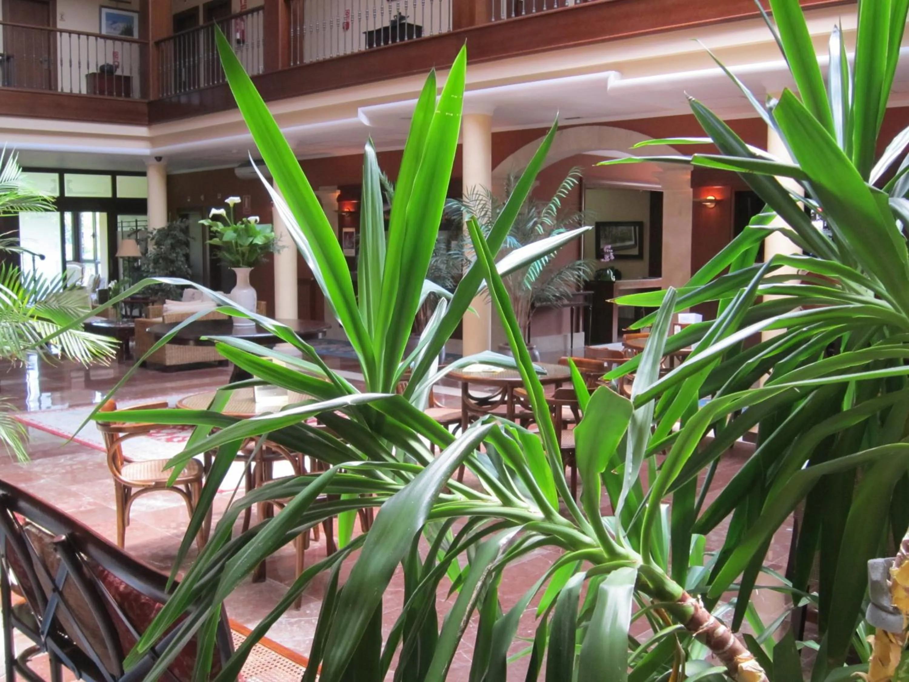 Lounge or bar in Hotel Finca La Mansión
