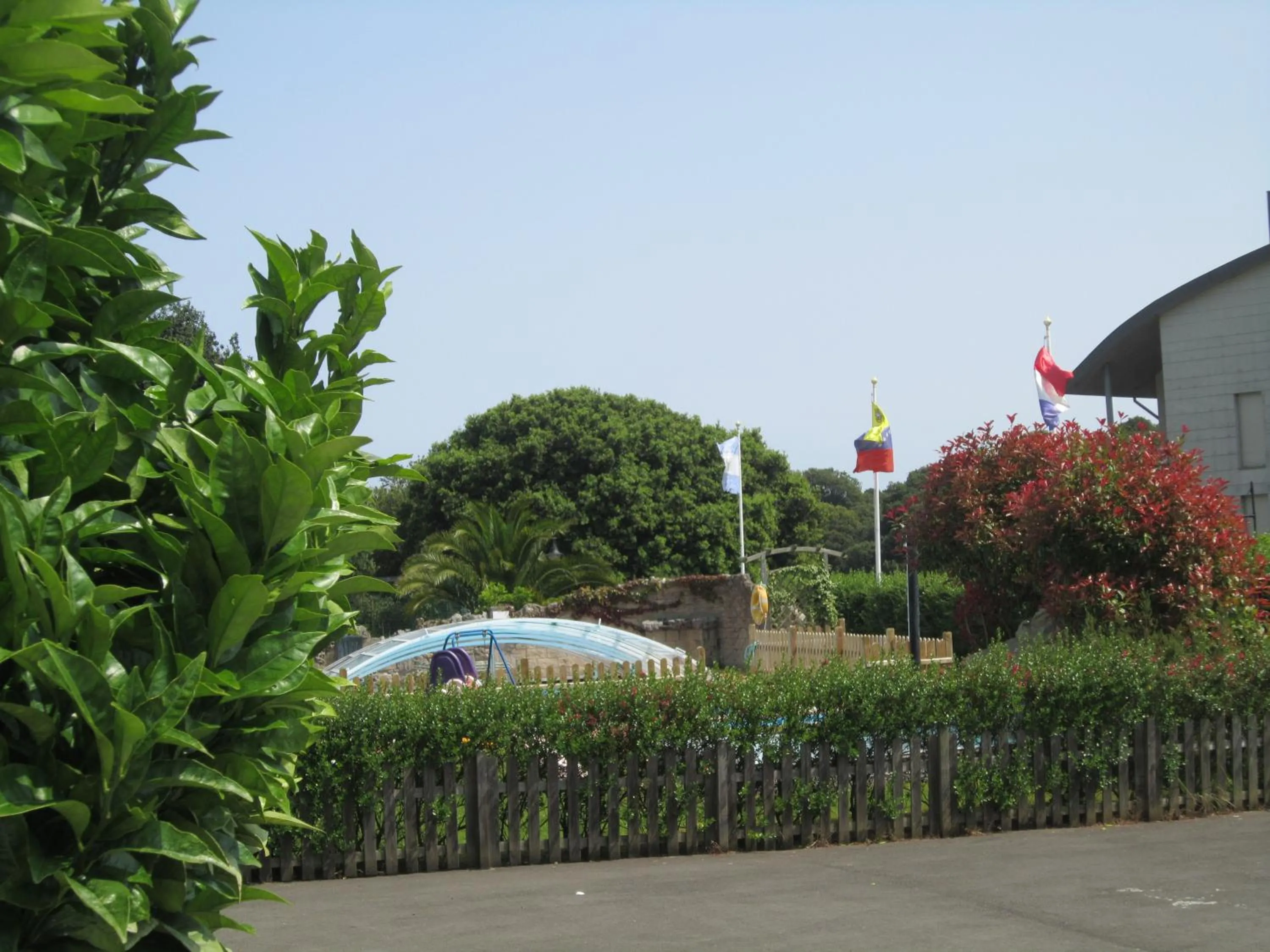 Garden in Hotel Finca La Mansión