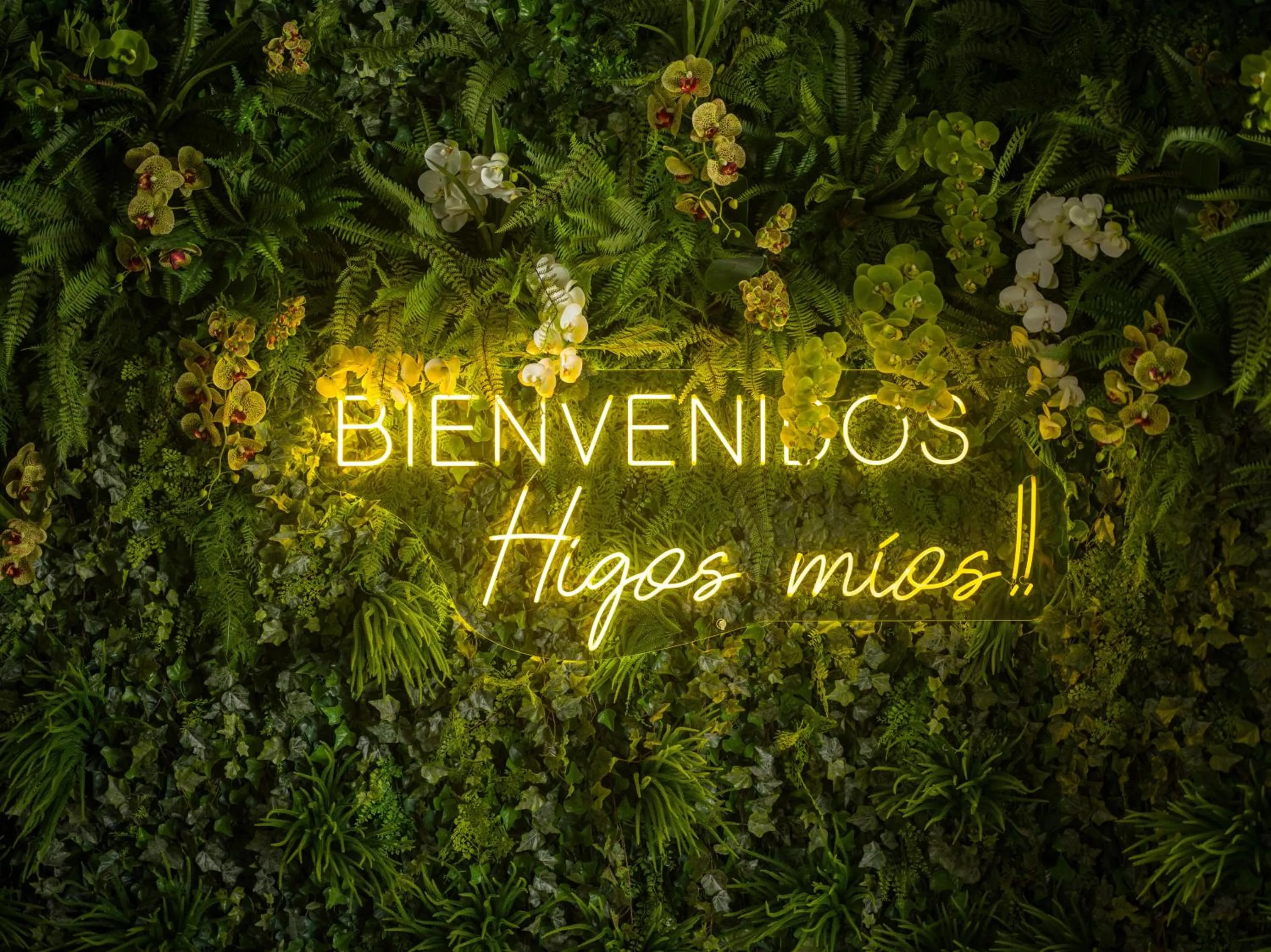 Garden in R2 HIGOS BEACH