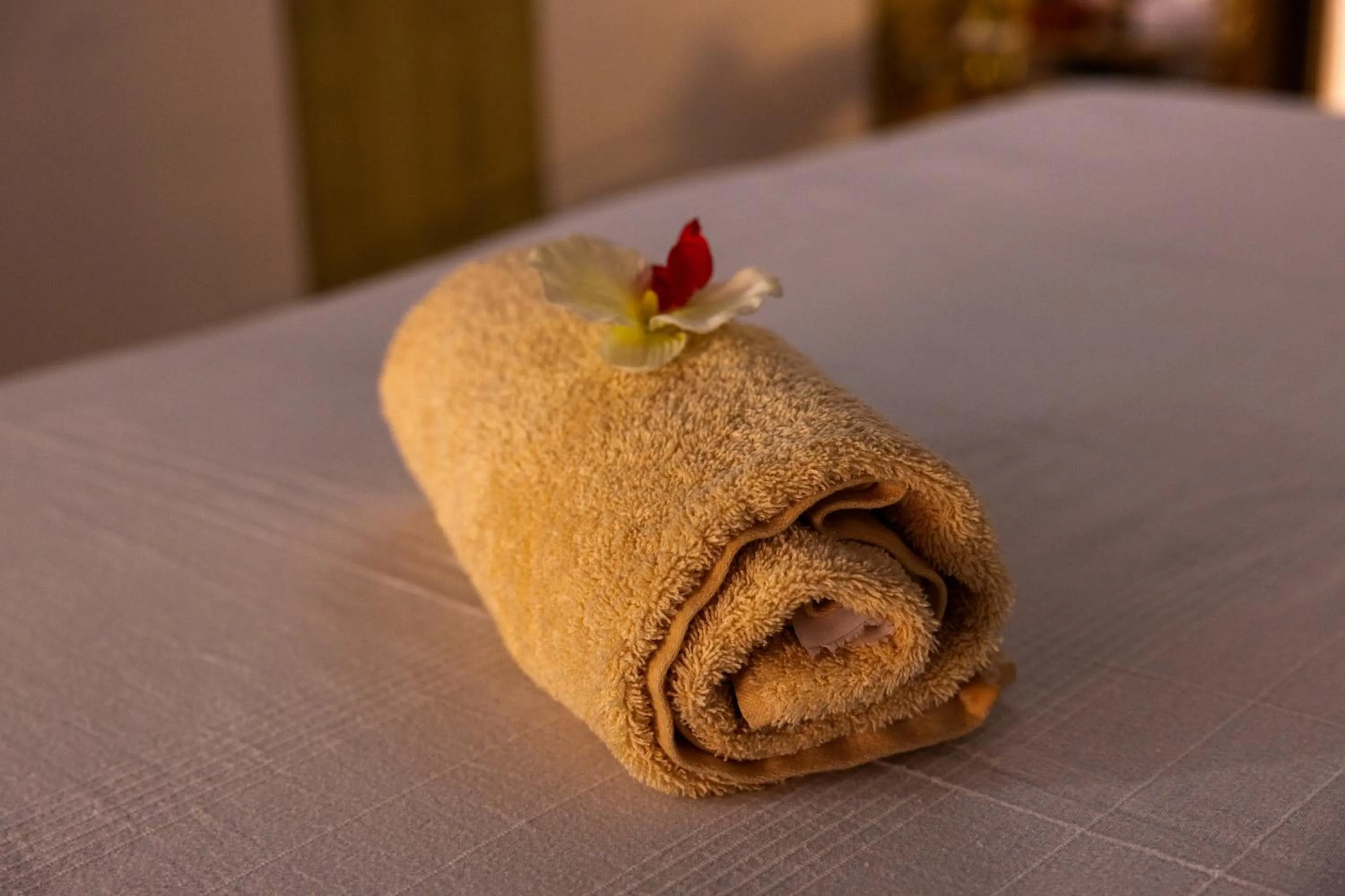 Massage in Fuentepark Apartments