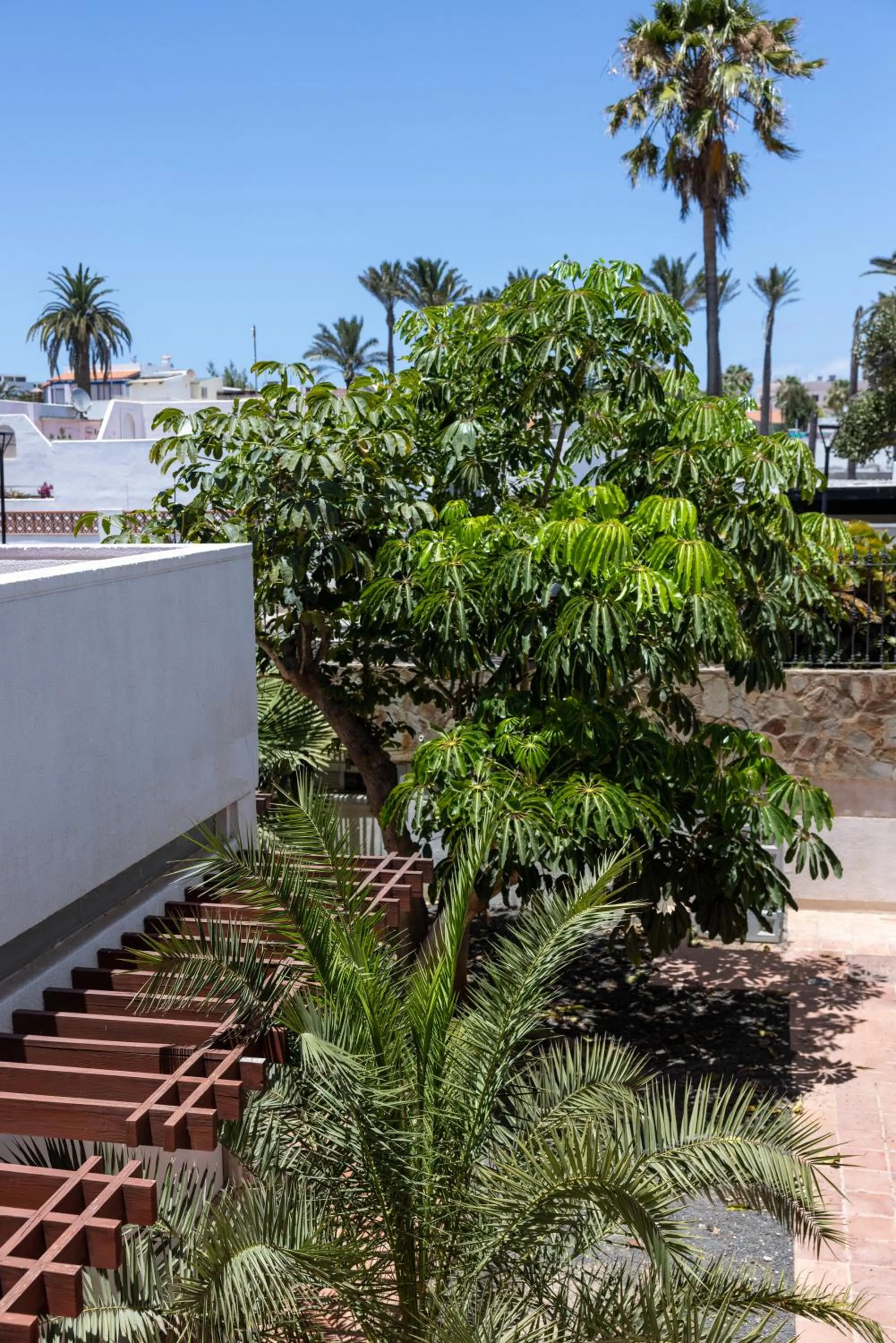 Garden in Fuentepark Apartments