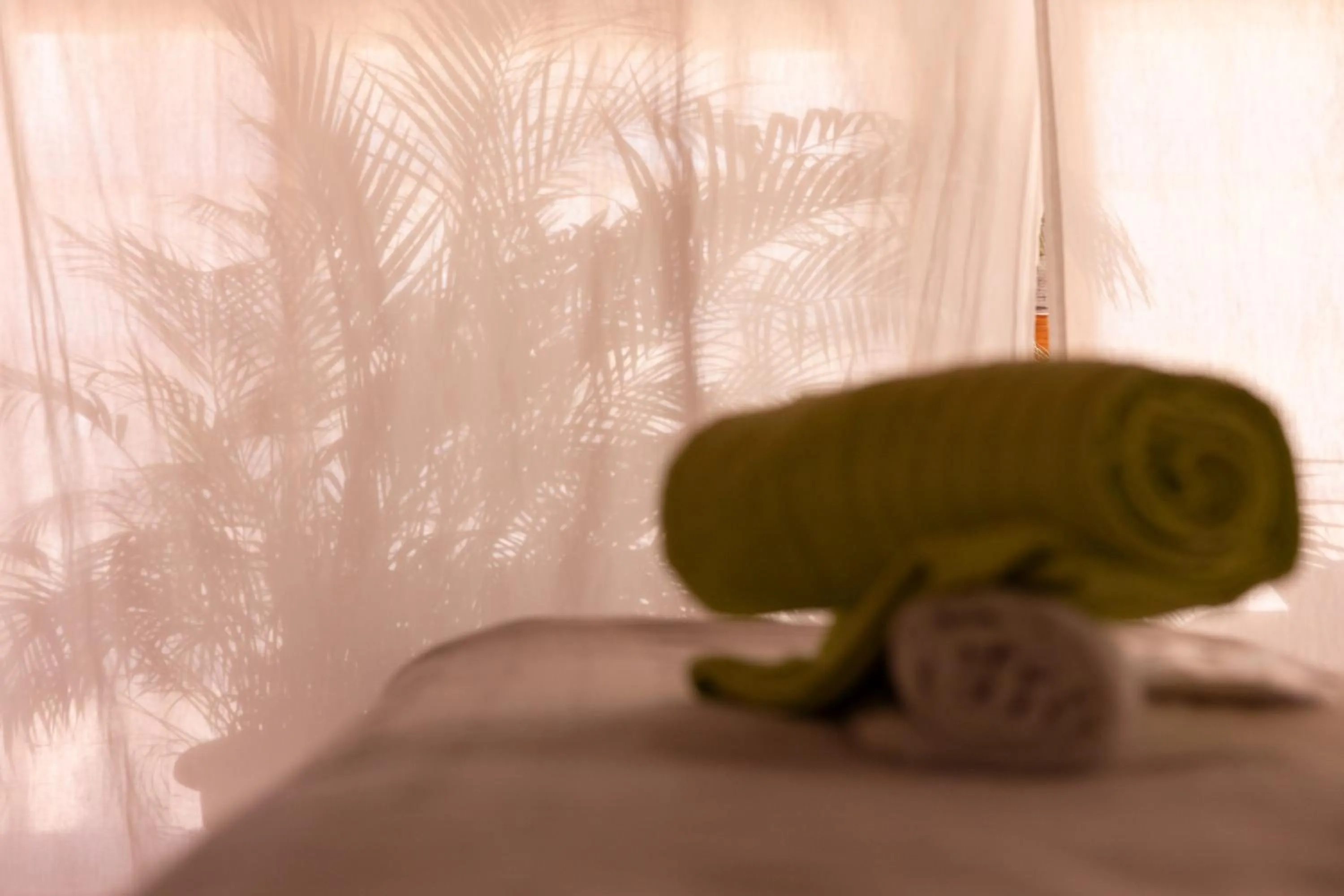 Massage in Fuentepark Apartments